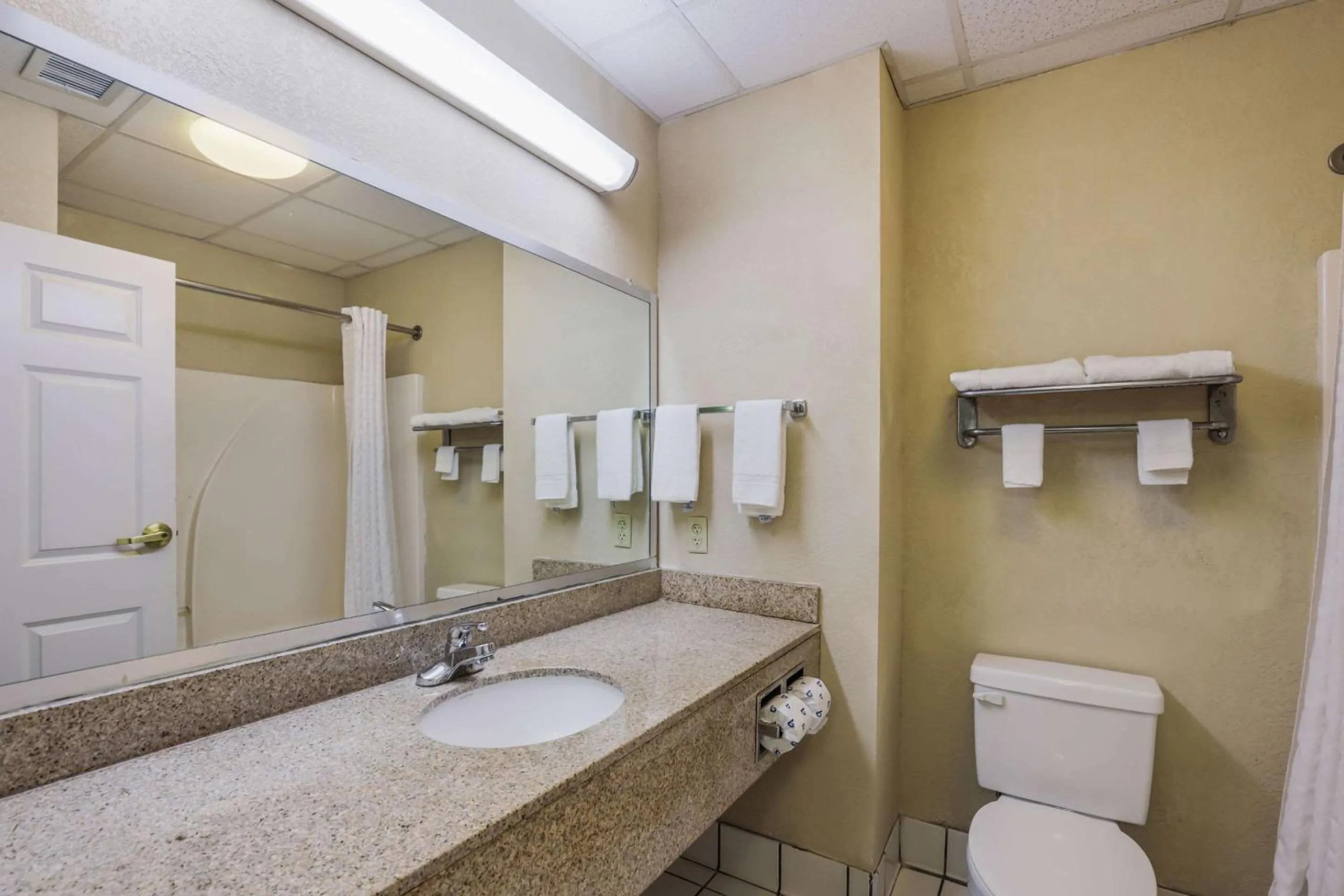 Bathroom in Econo Lodge Inn & Suites Marianna South