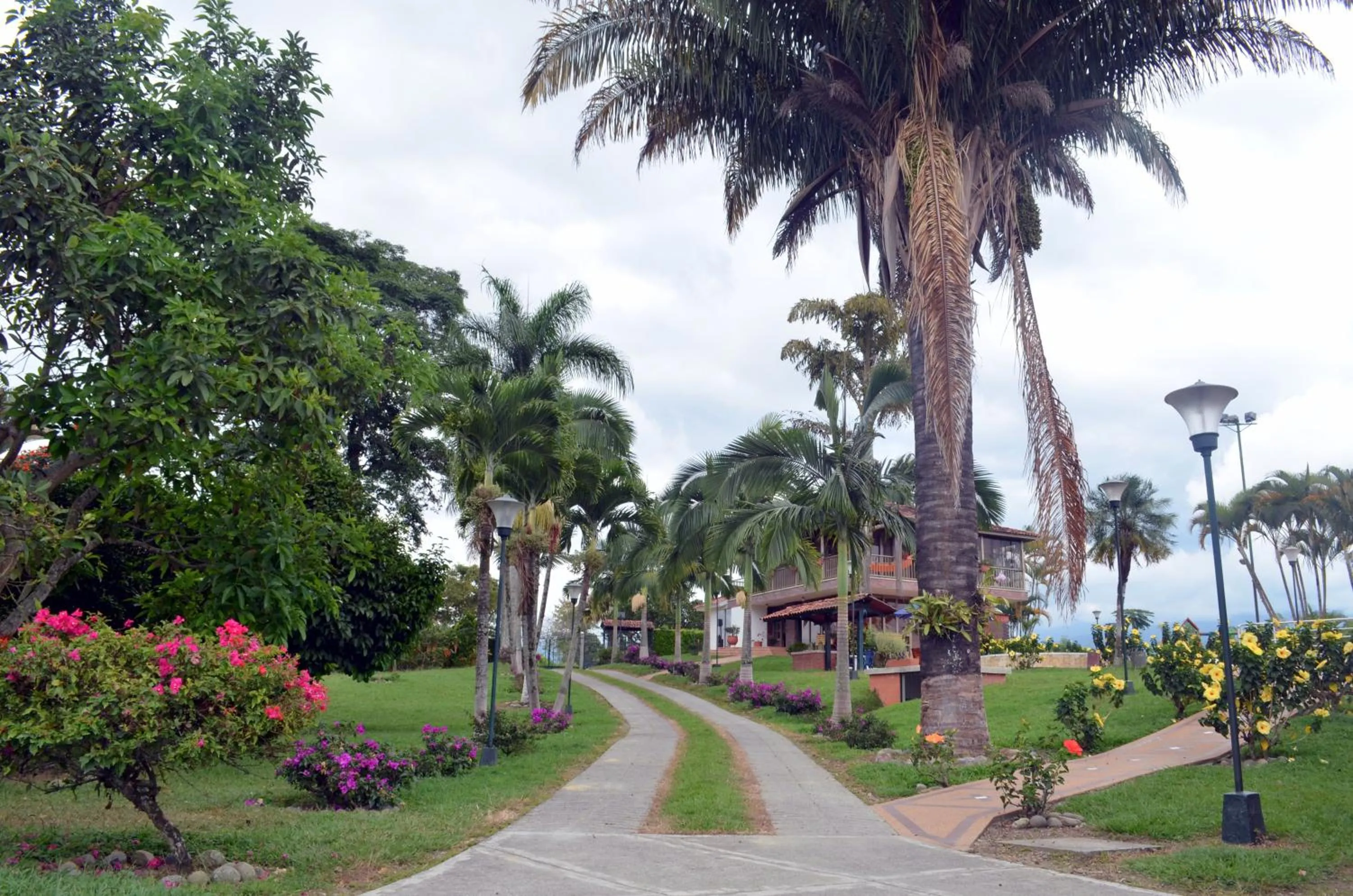 Garden in Finca Hotel Valparaíso