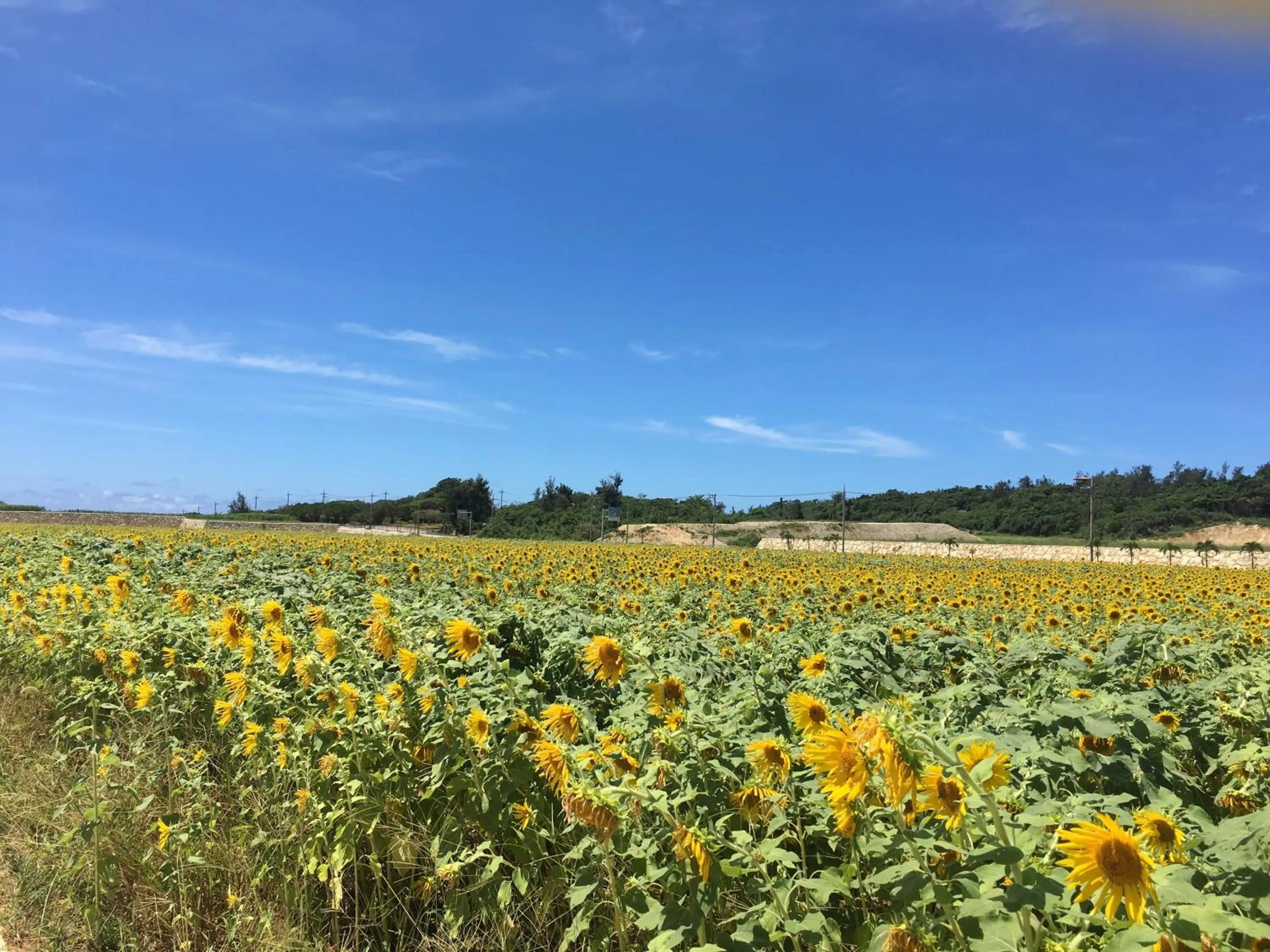 Natural landscape in Minnkayado intoparitosura