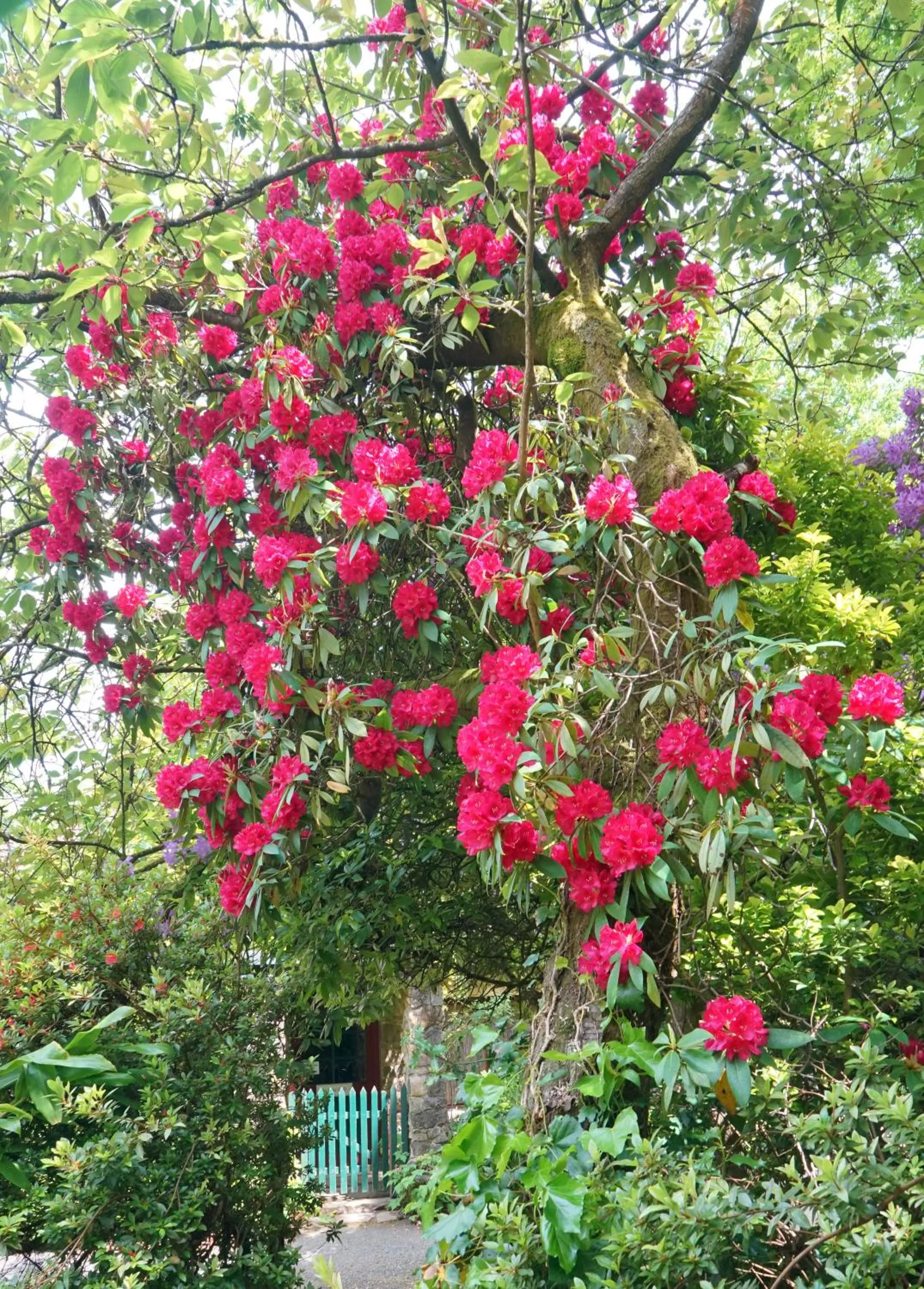 Arnica Views Summit Retreat