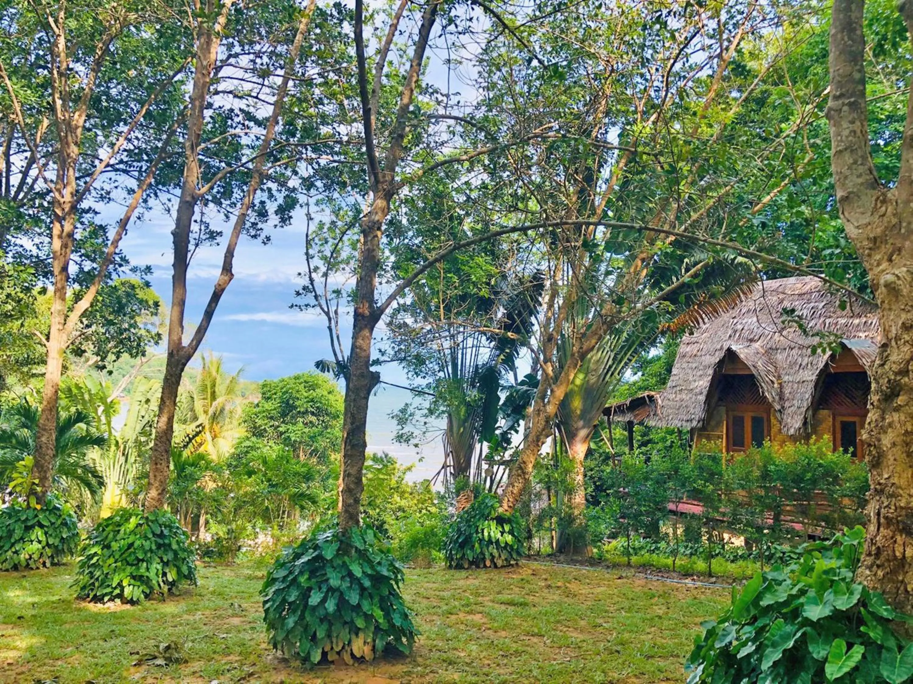 Garden view in Banyan Bay Villas