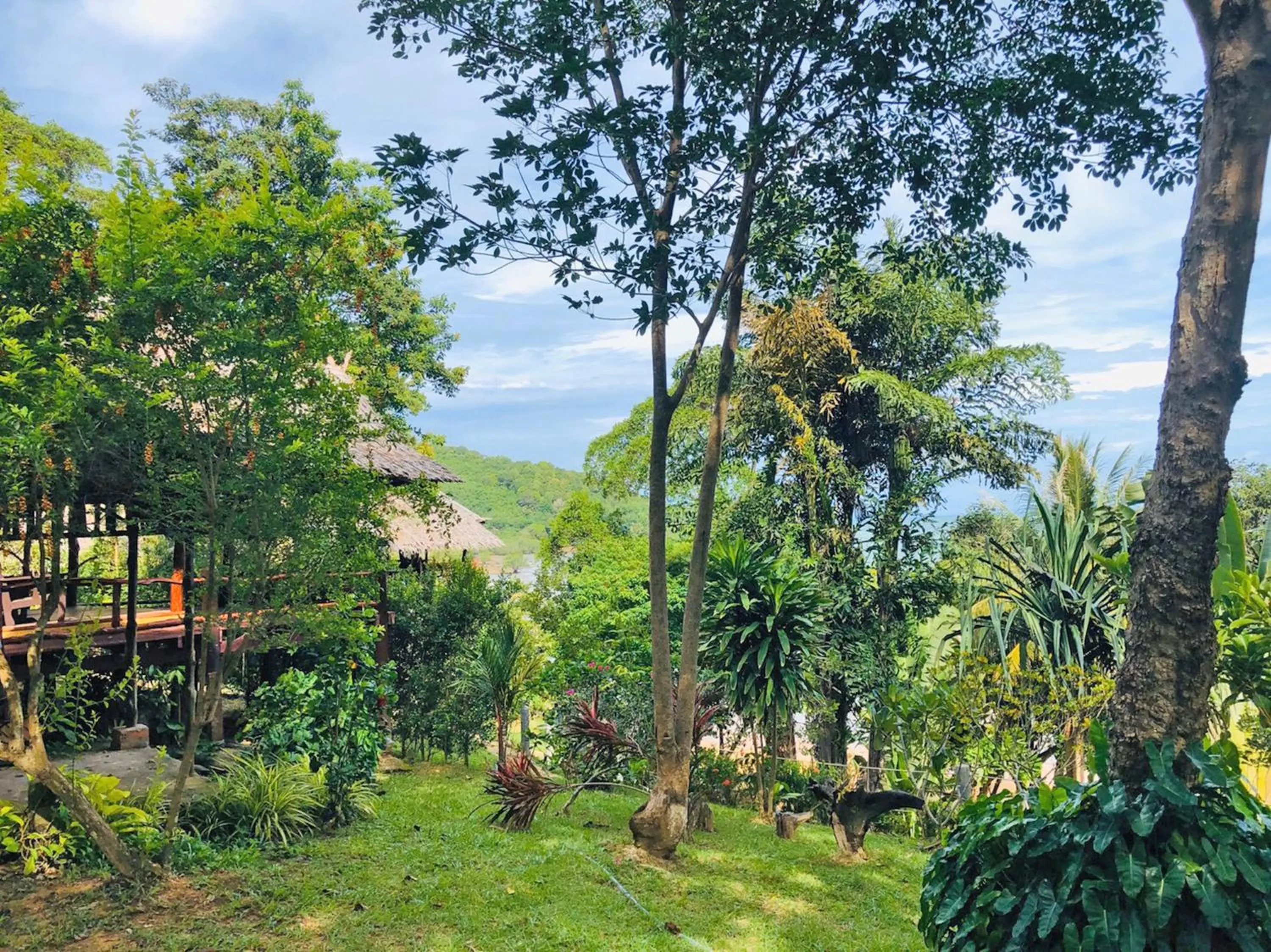 Garden view in Banyan Bay Villas