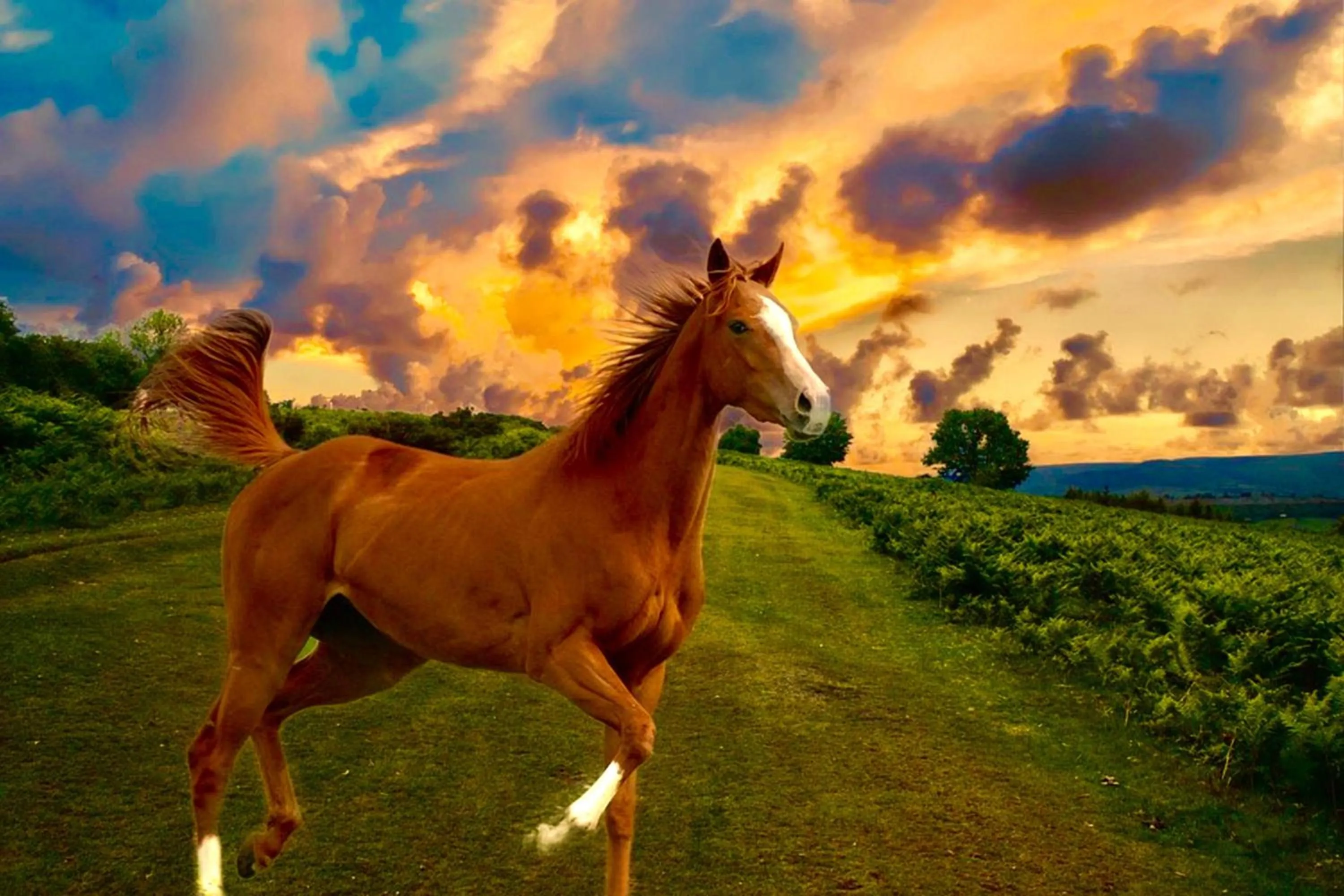 Nearby landmark in Holiday Inn Express & Suites Ocala by IHG