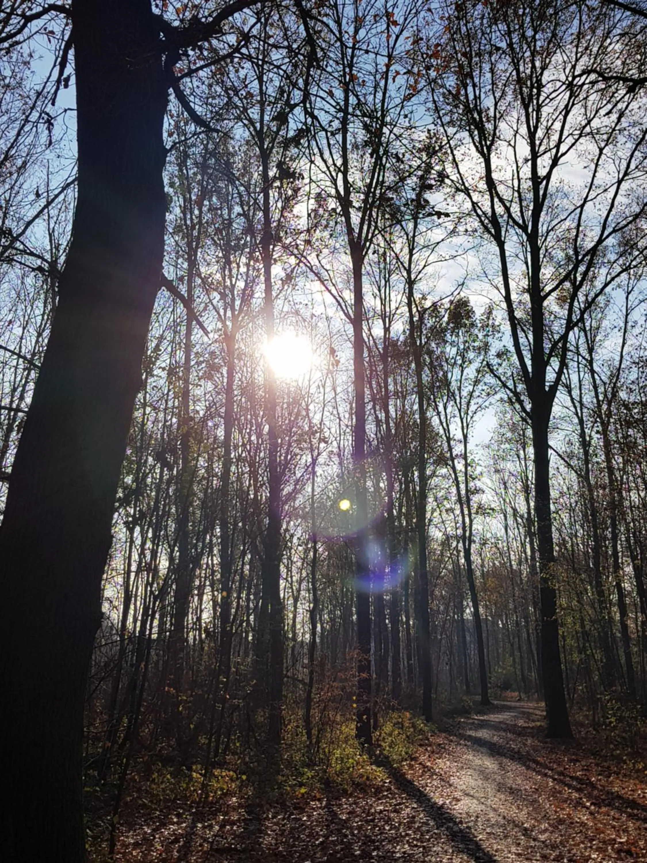 Other in Auenwald Hotel und Apartmenthaus