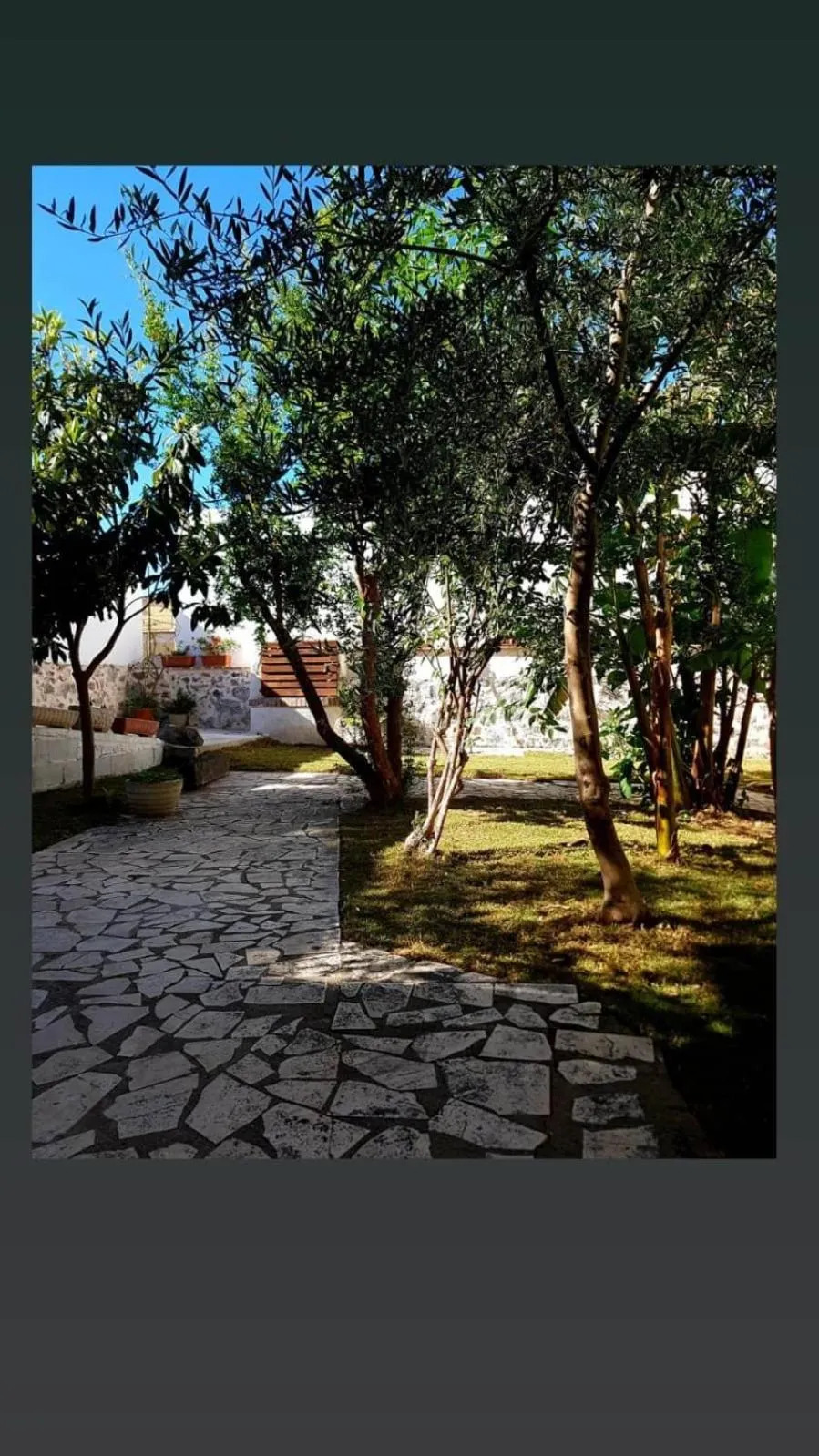 B&B Sa domo de sos Massaios