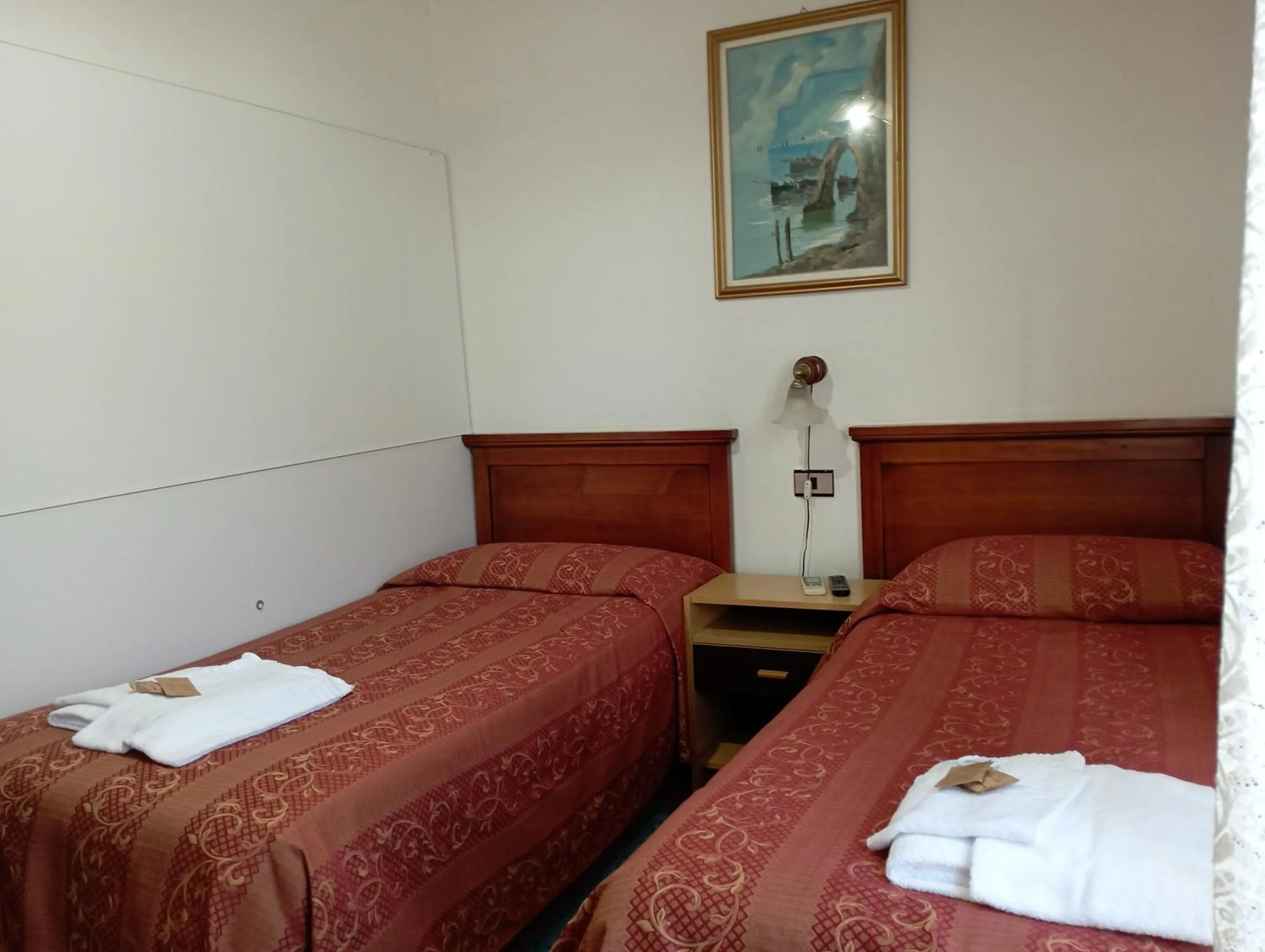 Twin Room with Private Bathroom - single occupancy in Hotel Garden