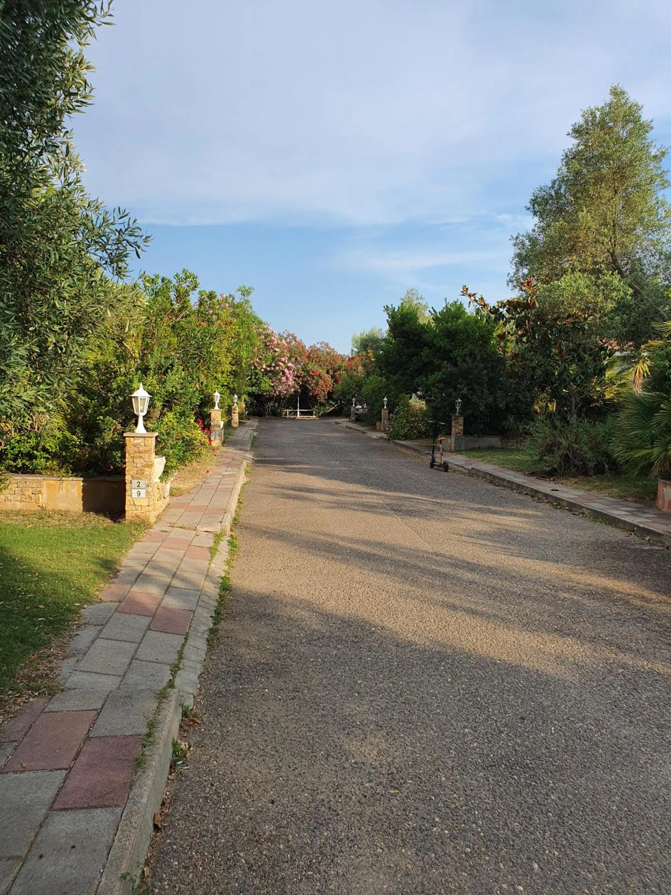 Natural landscape in Hotel Garden