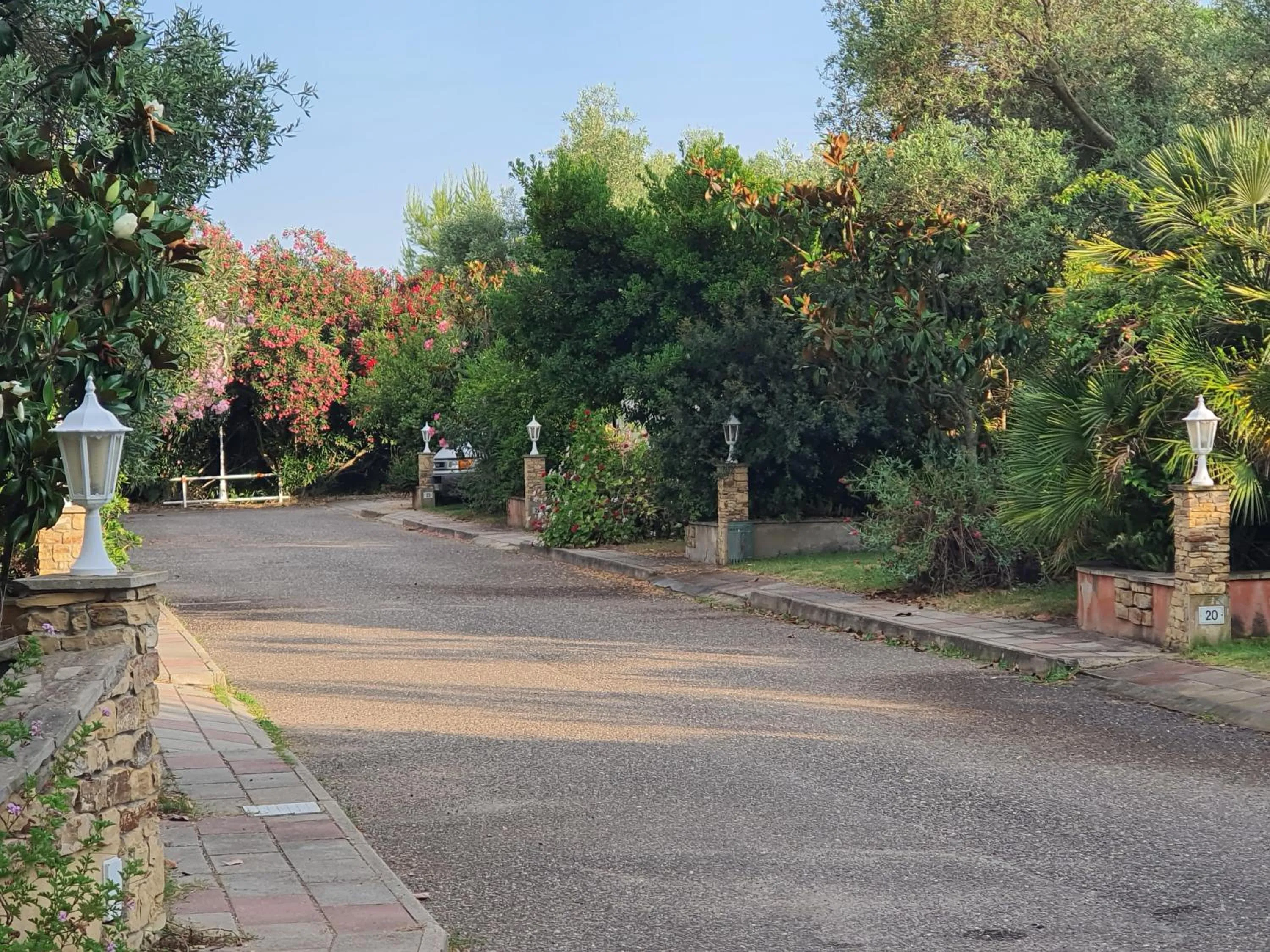 Garden view in Hotel Garden