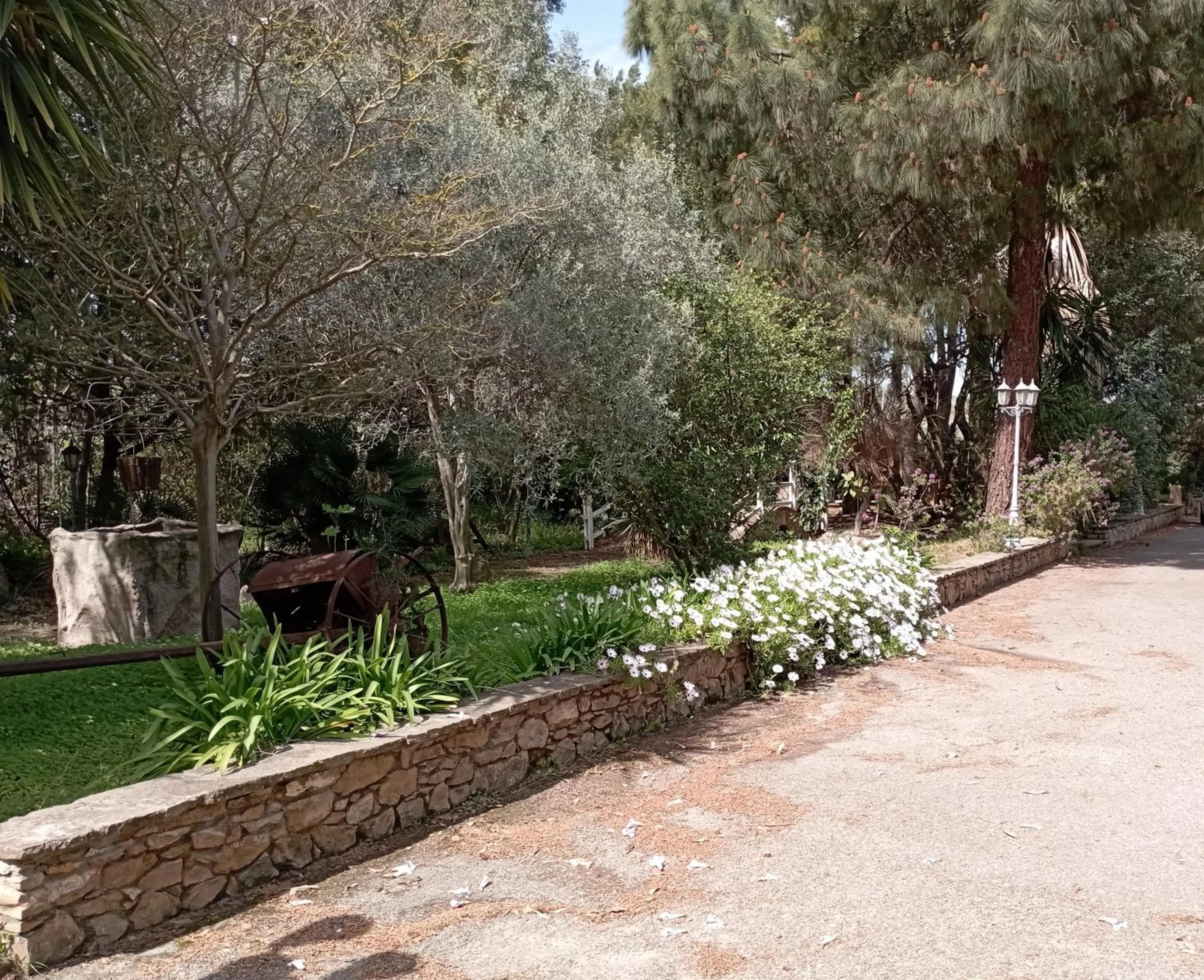 Garden in Hotel Garden