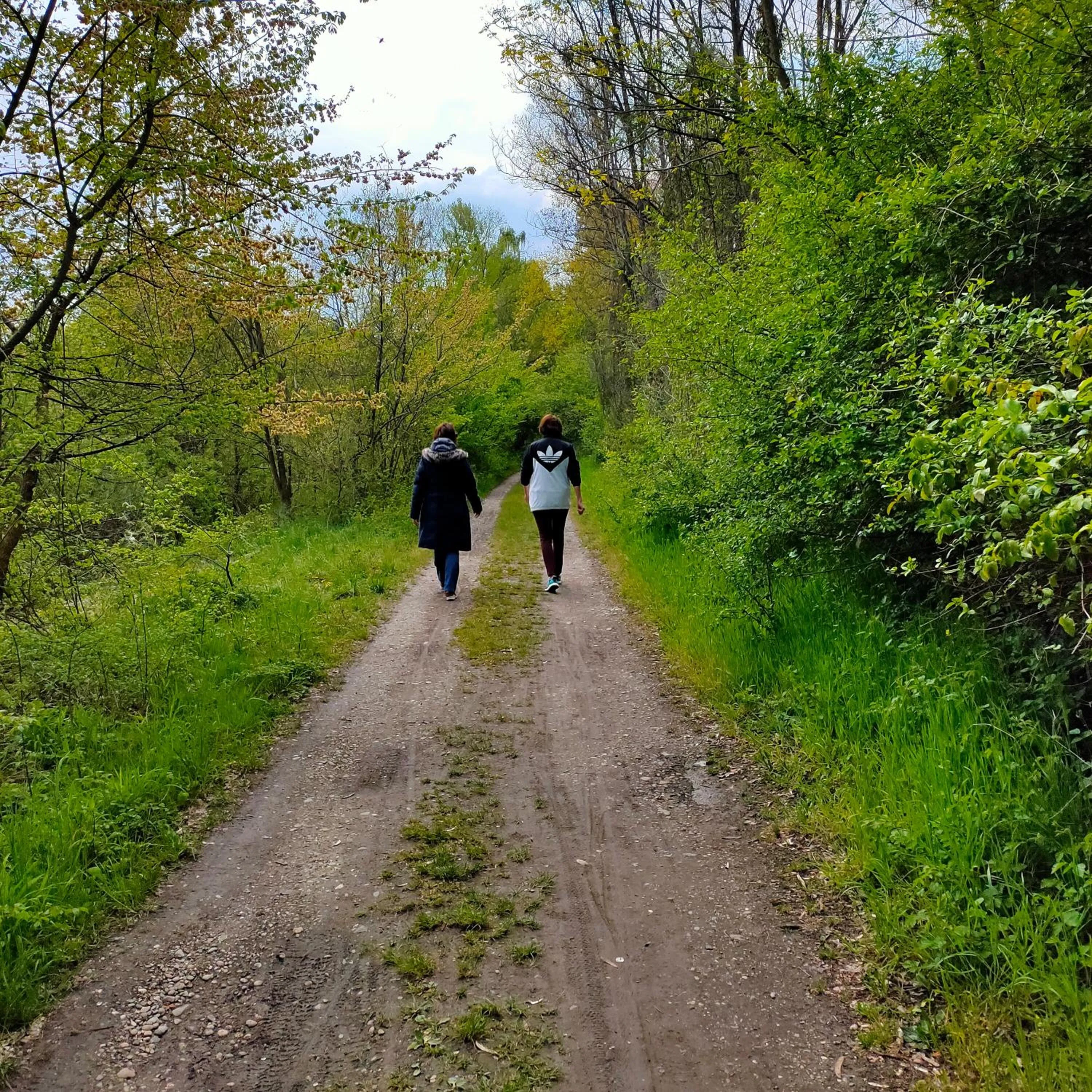Hôtel Restaurant Oberlé
