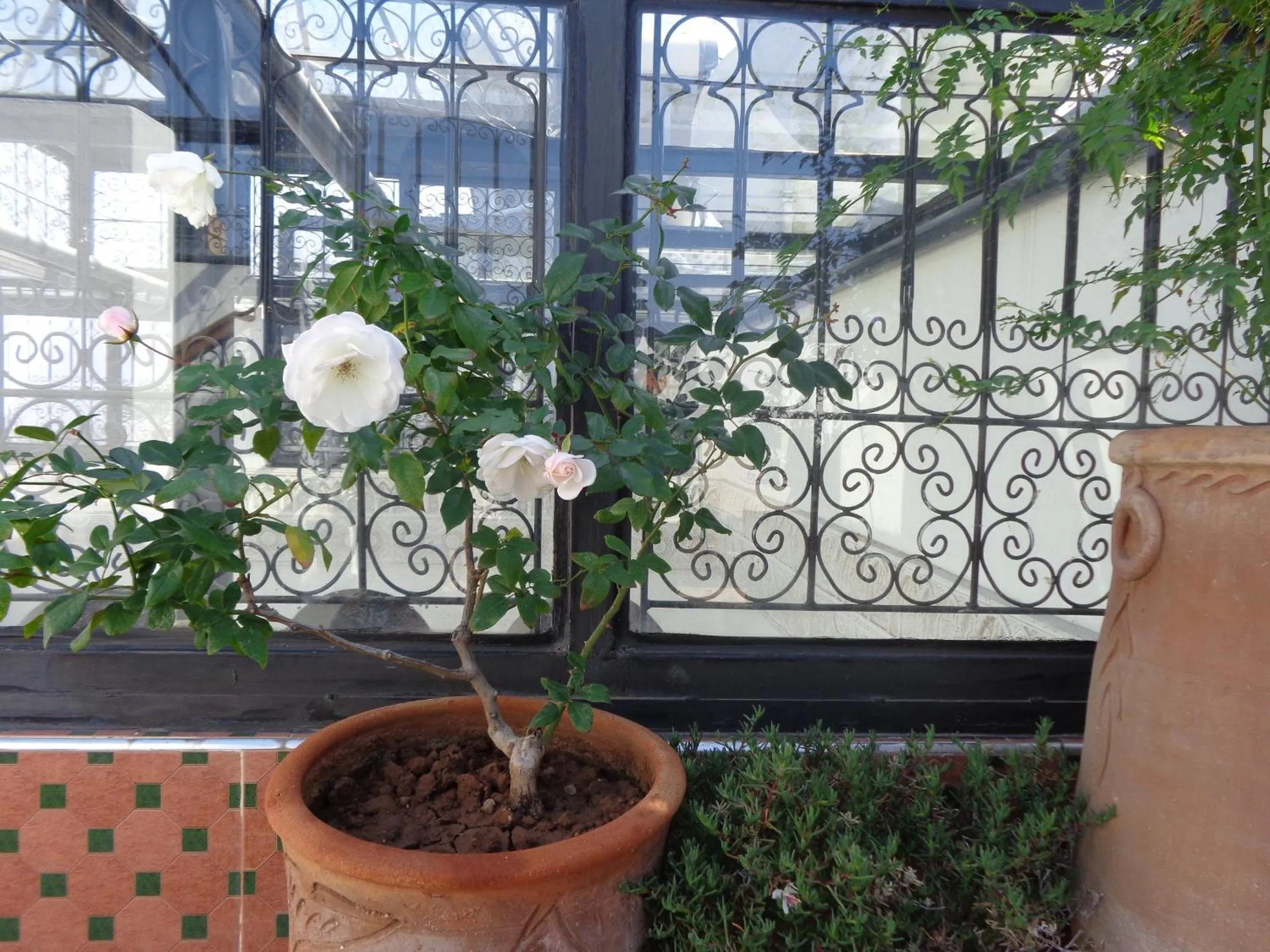 View (from property/room) in Riad Mouna