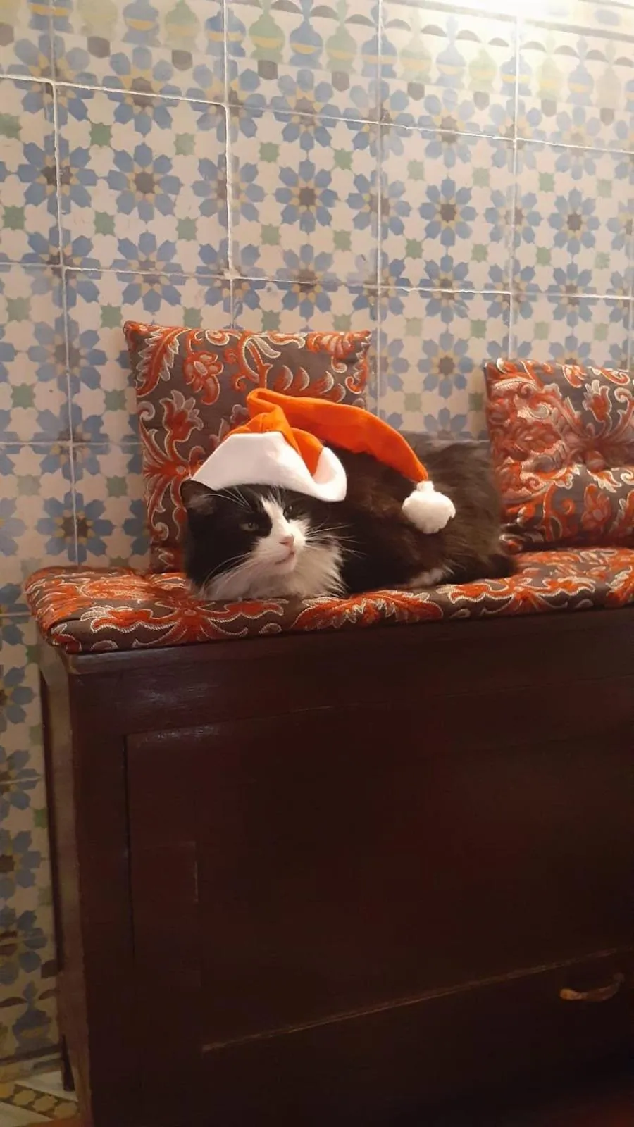 Property building in Riad Mouna