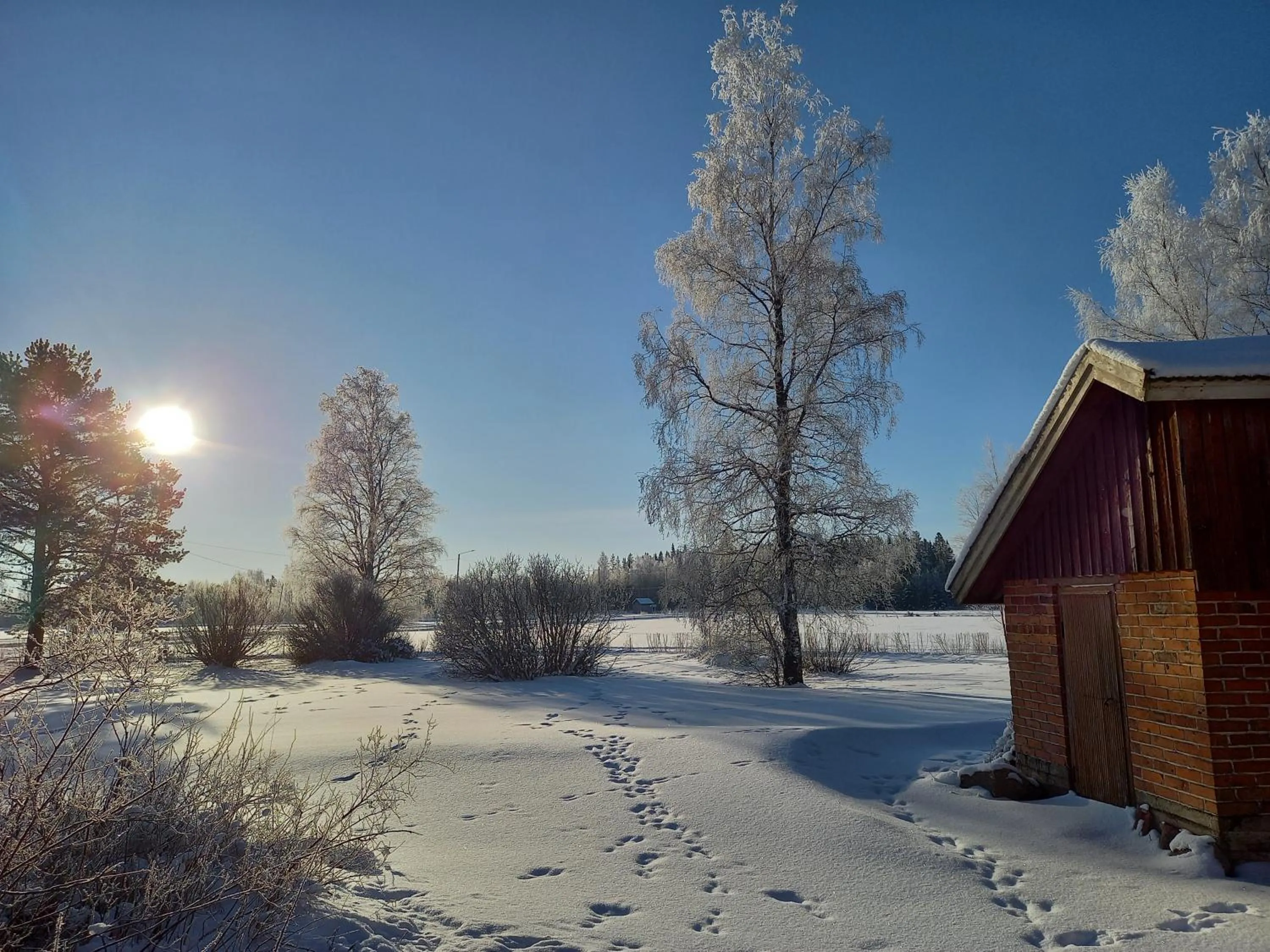 Garden view in Opintola Bed & Breakfast