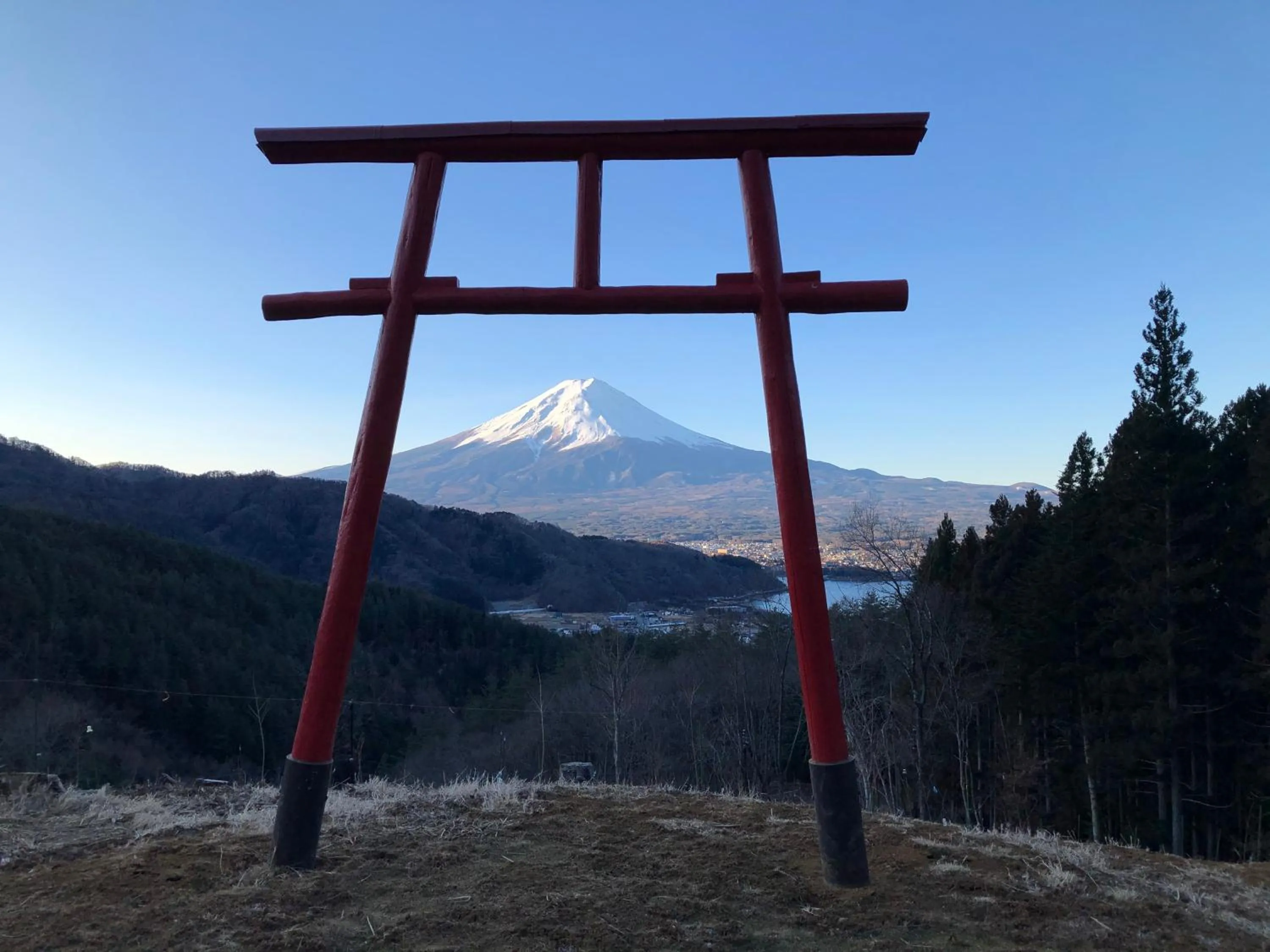 Natural landscape in Villa Relax
