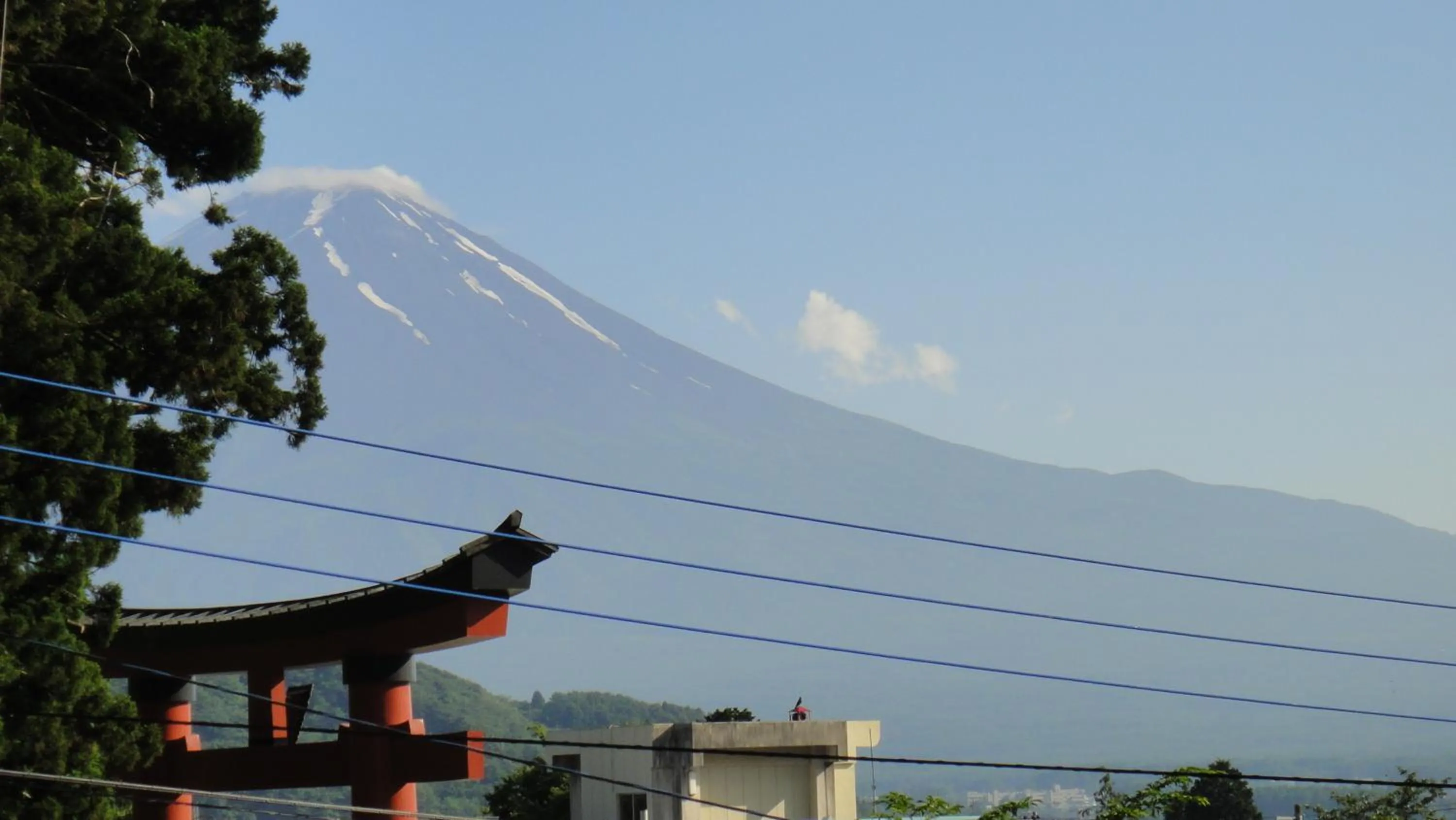 Natural landscape in Villa Relax