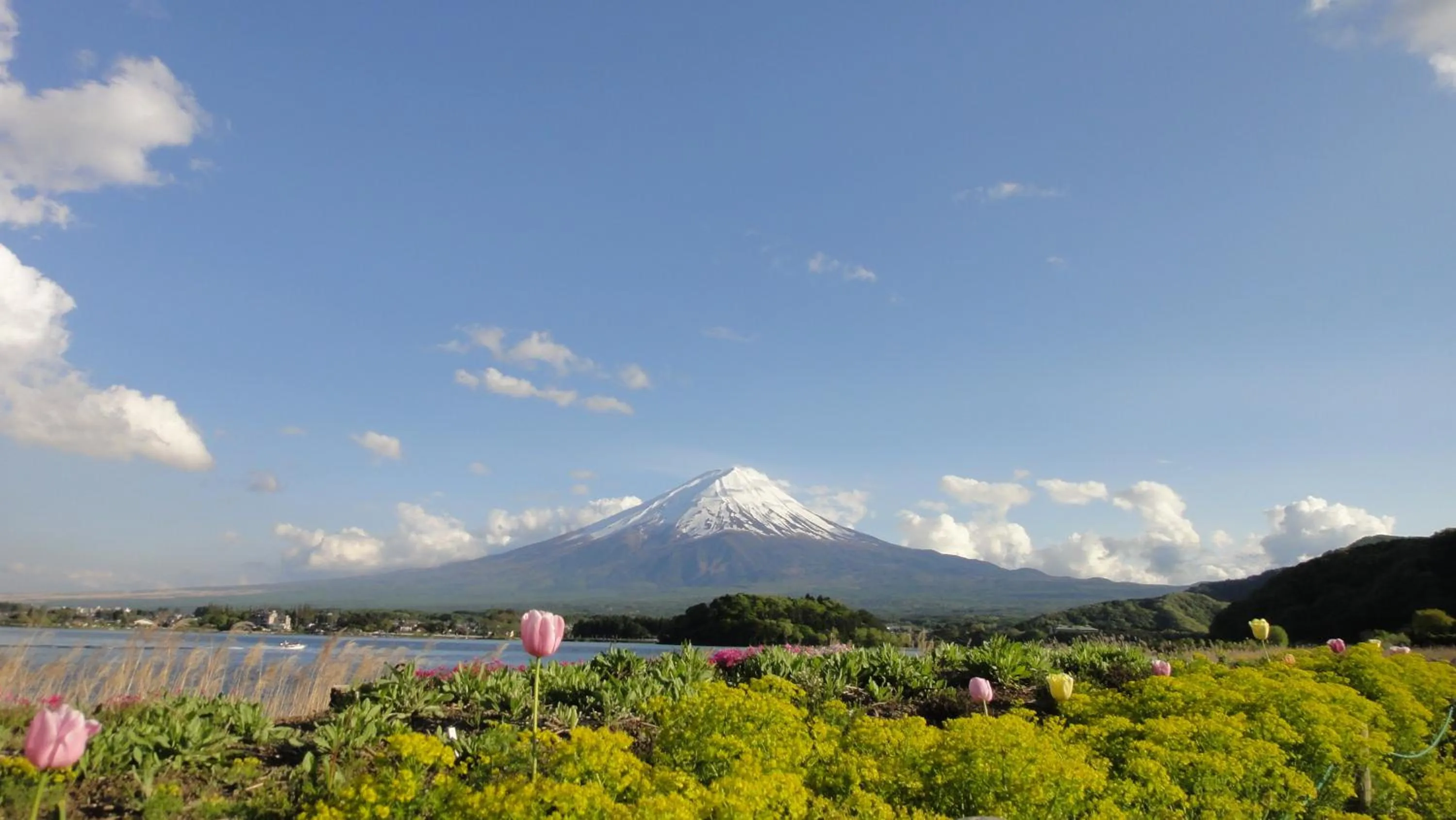 Spring in Villa Relax