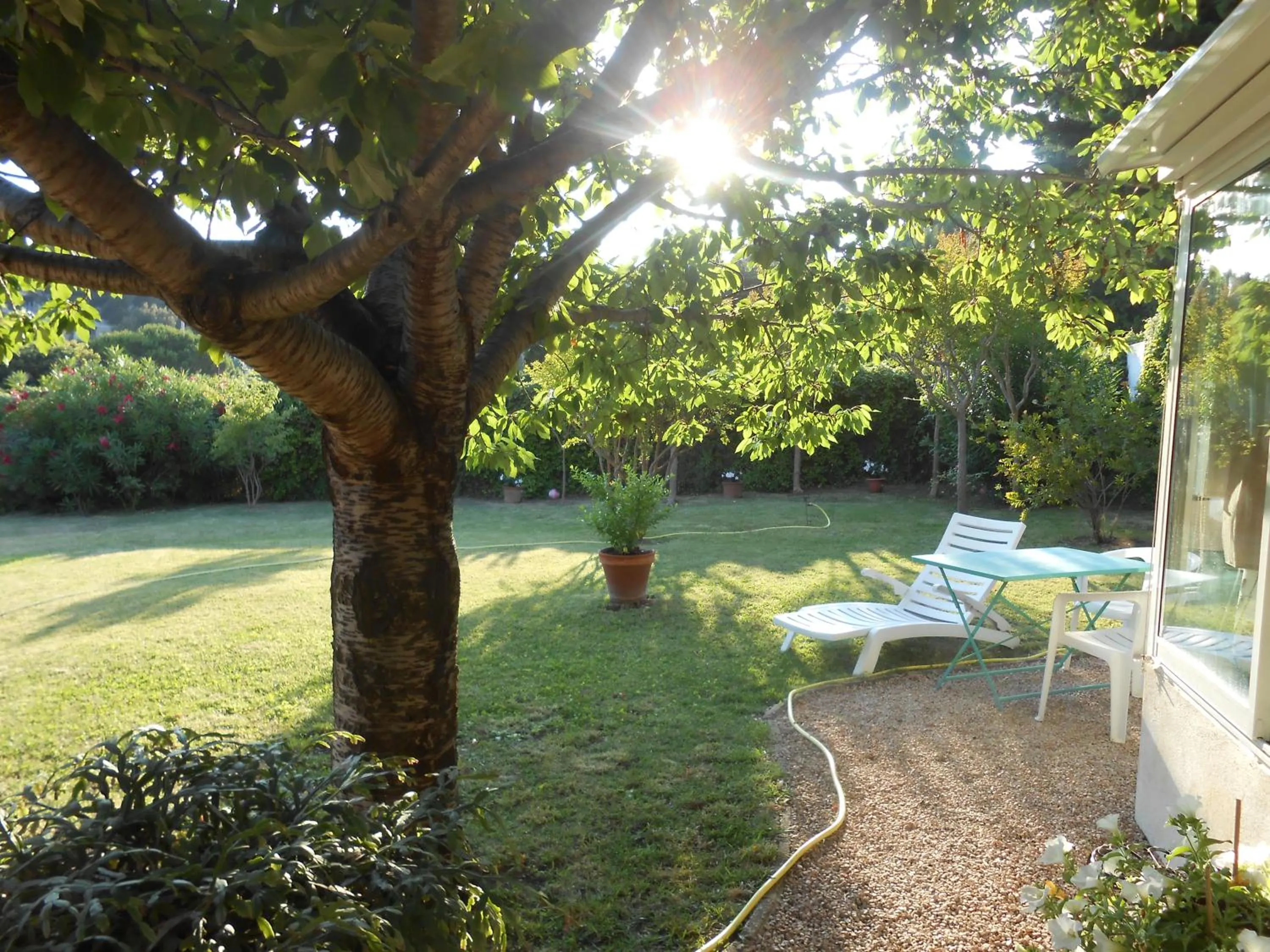 Garden in Chez Mamouska