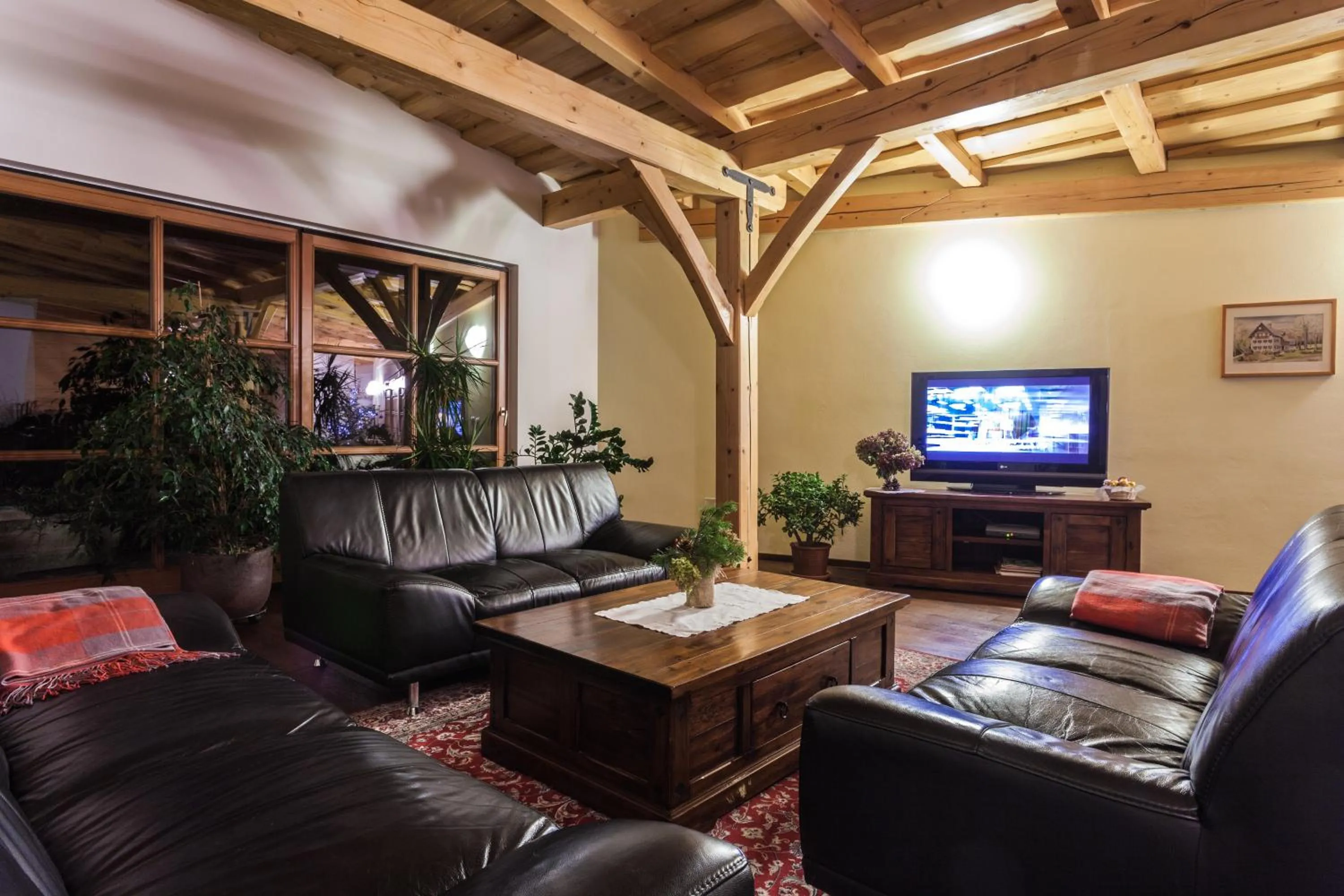 TV and multimedia in Tourist Farm Zelinc