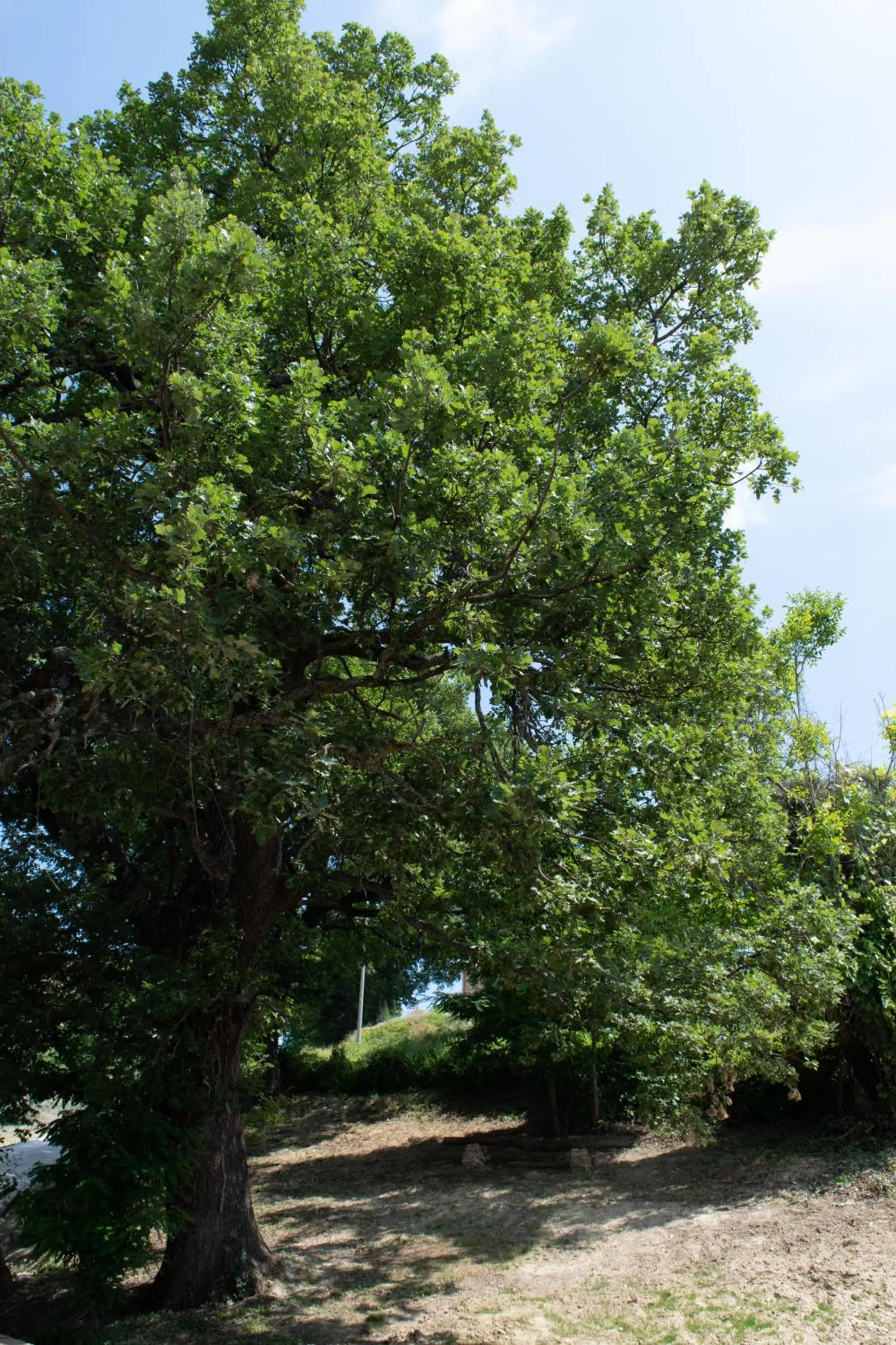 Neighbourhood in B&B Le Quattro Civette