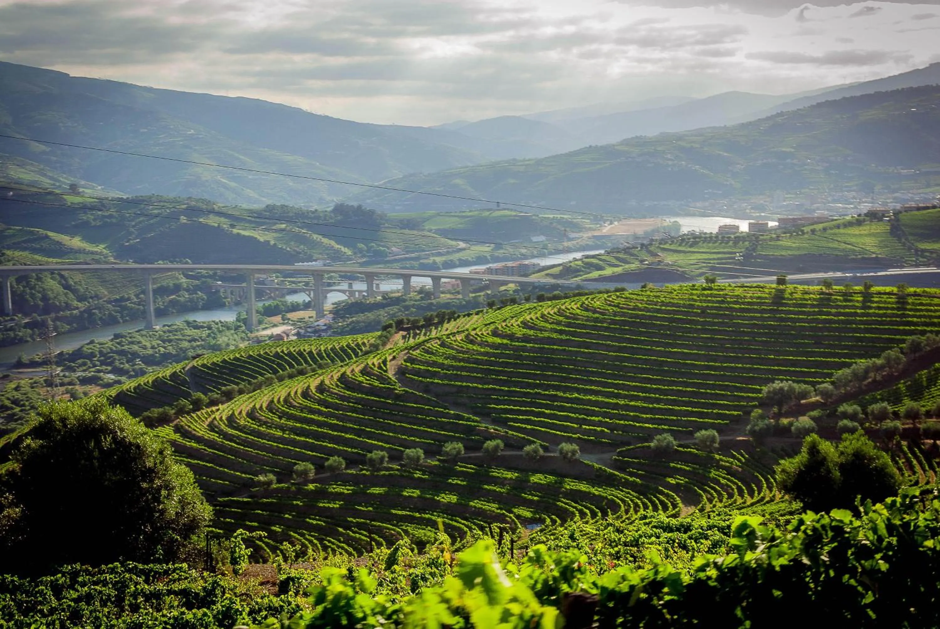 Area and facilities in Quinta do Vallado - Douro Wine Hotel