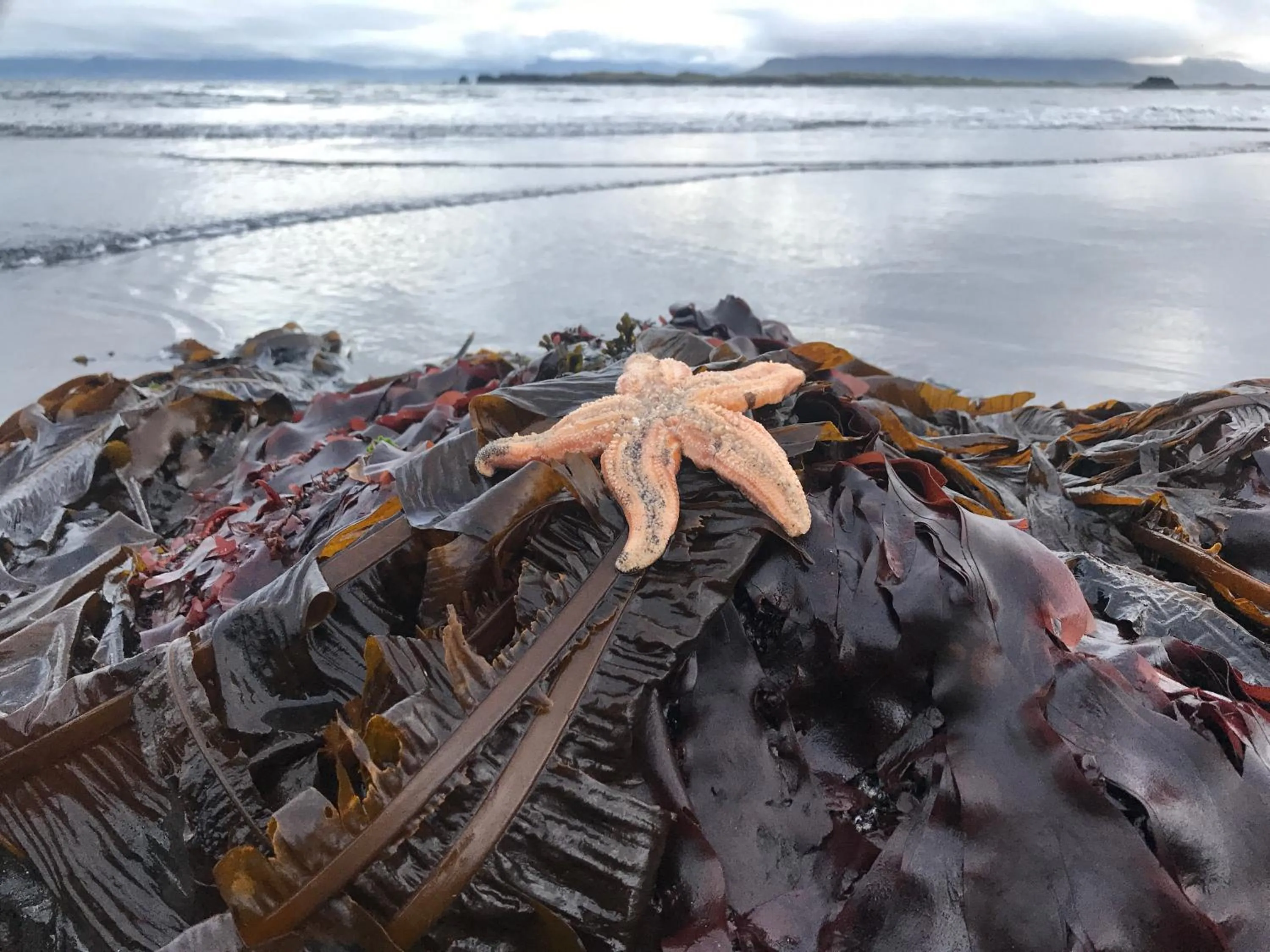 Nearby landmark in Hotel Framtid