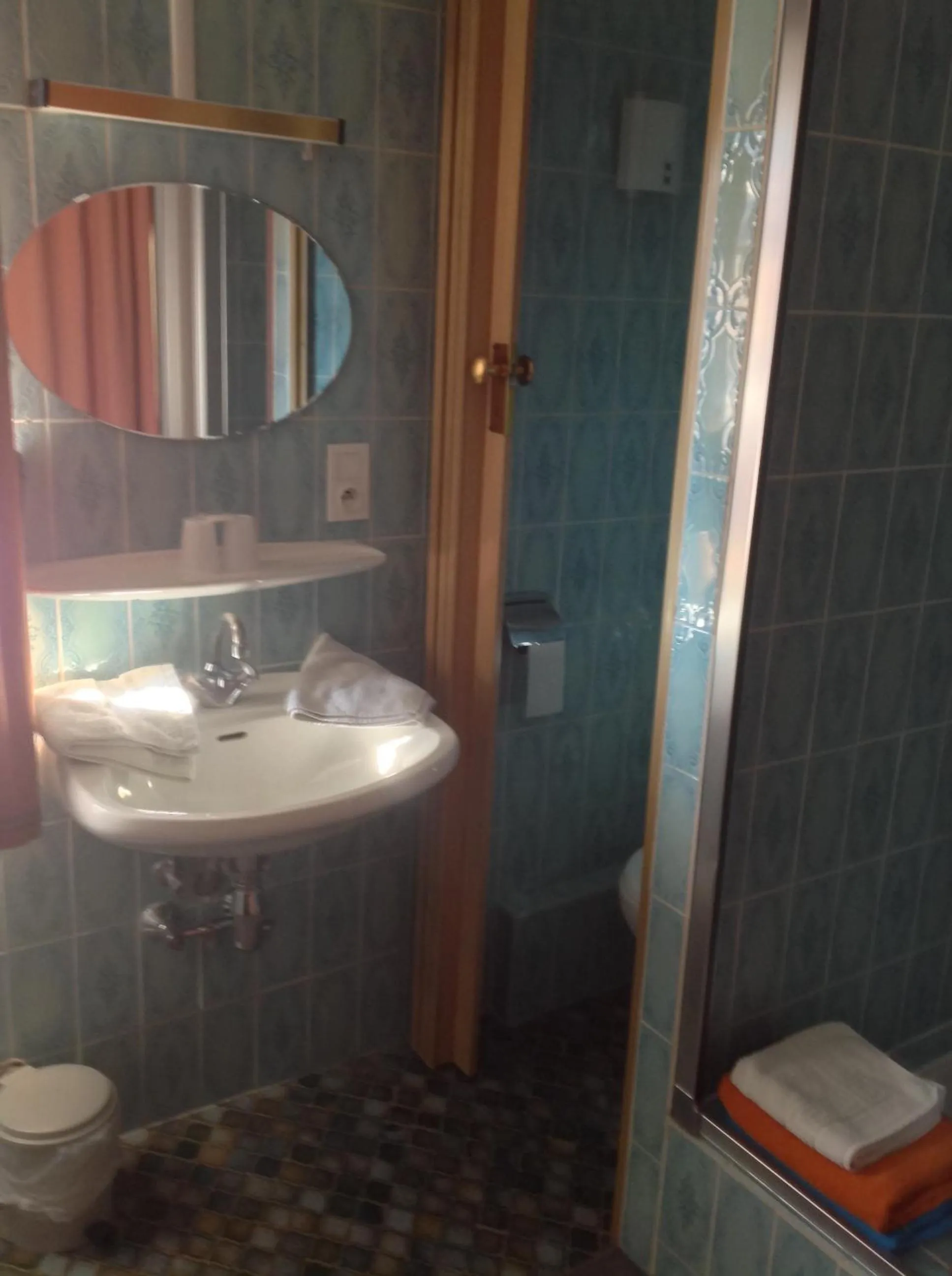 Bathroom in Hôtel Restaurant Zum Schnogaloch