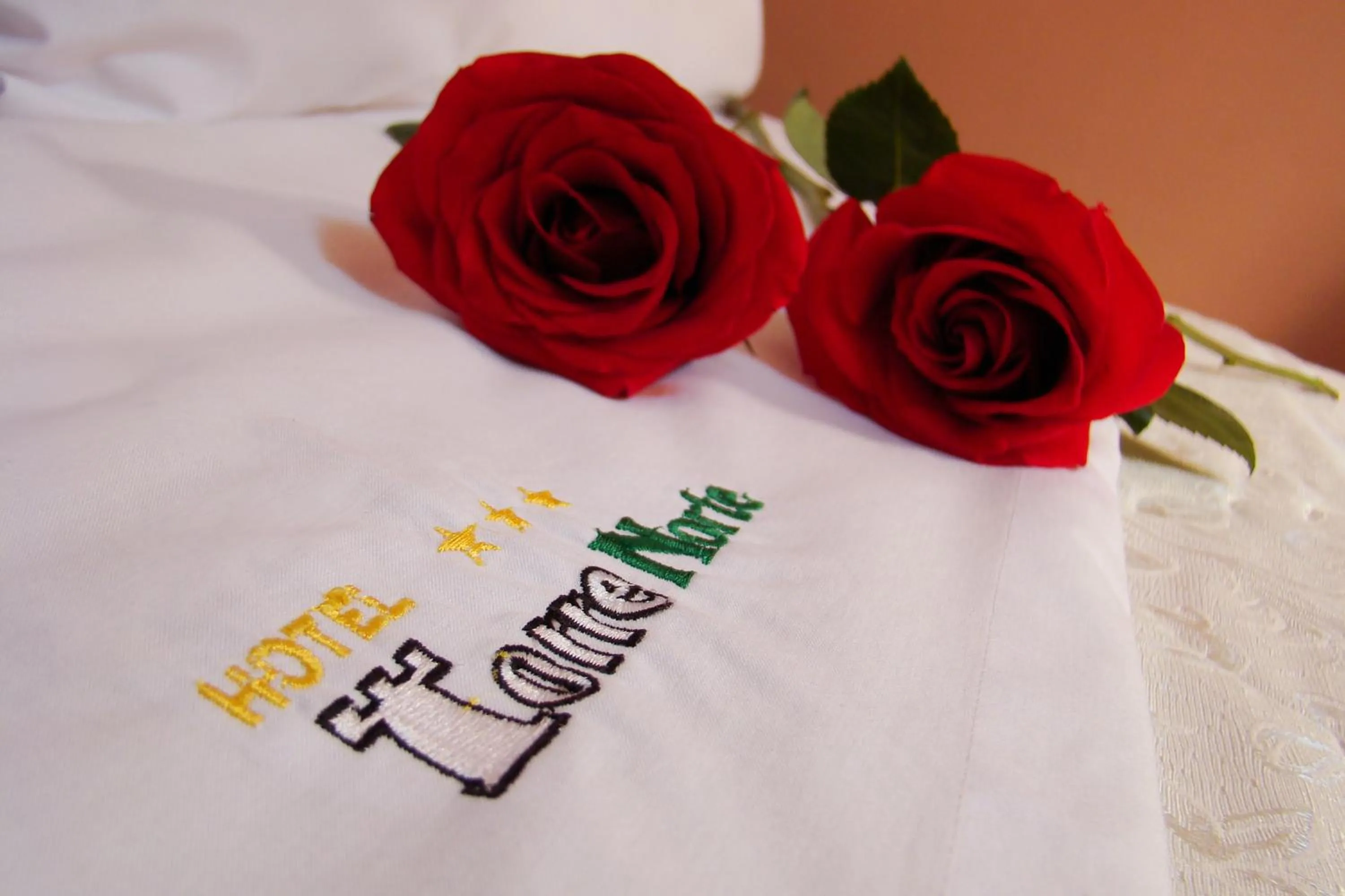 Decorative detail in Hotel Torre Norte