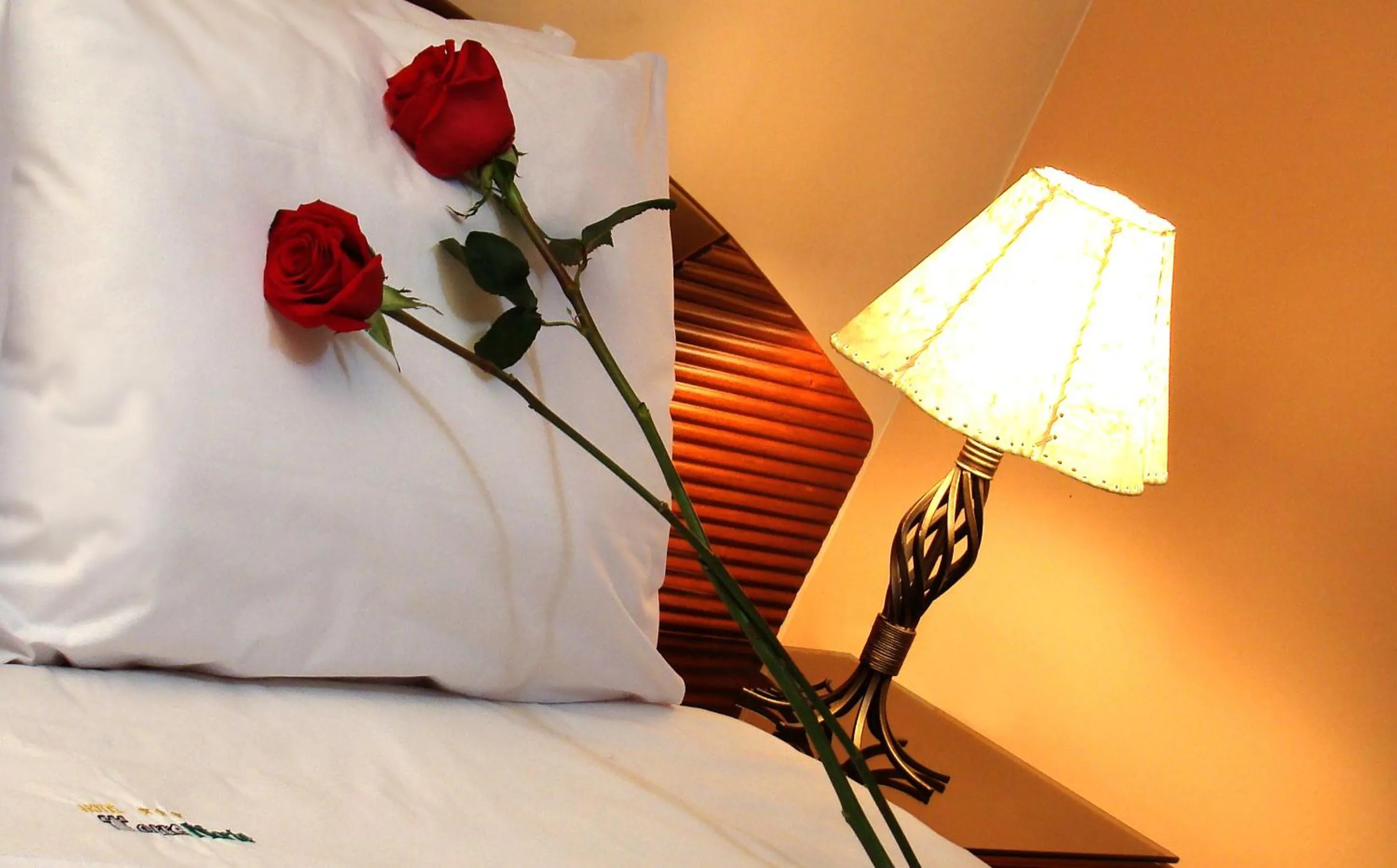 Decorative detail, Bed in Hotel Torre Norte