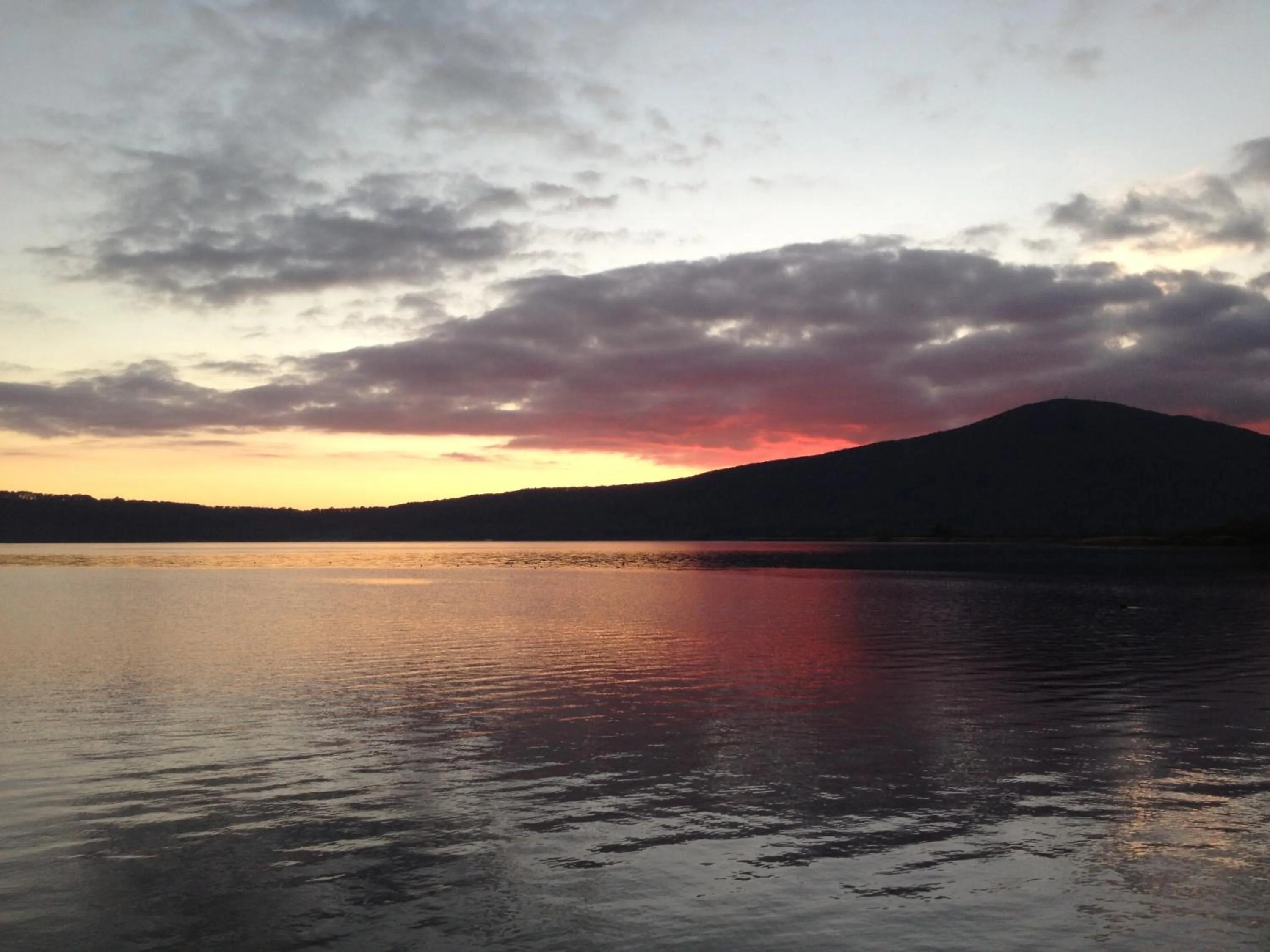 Natural landscape in Hotel La Bella Venere