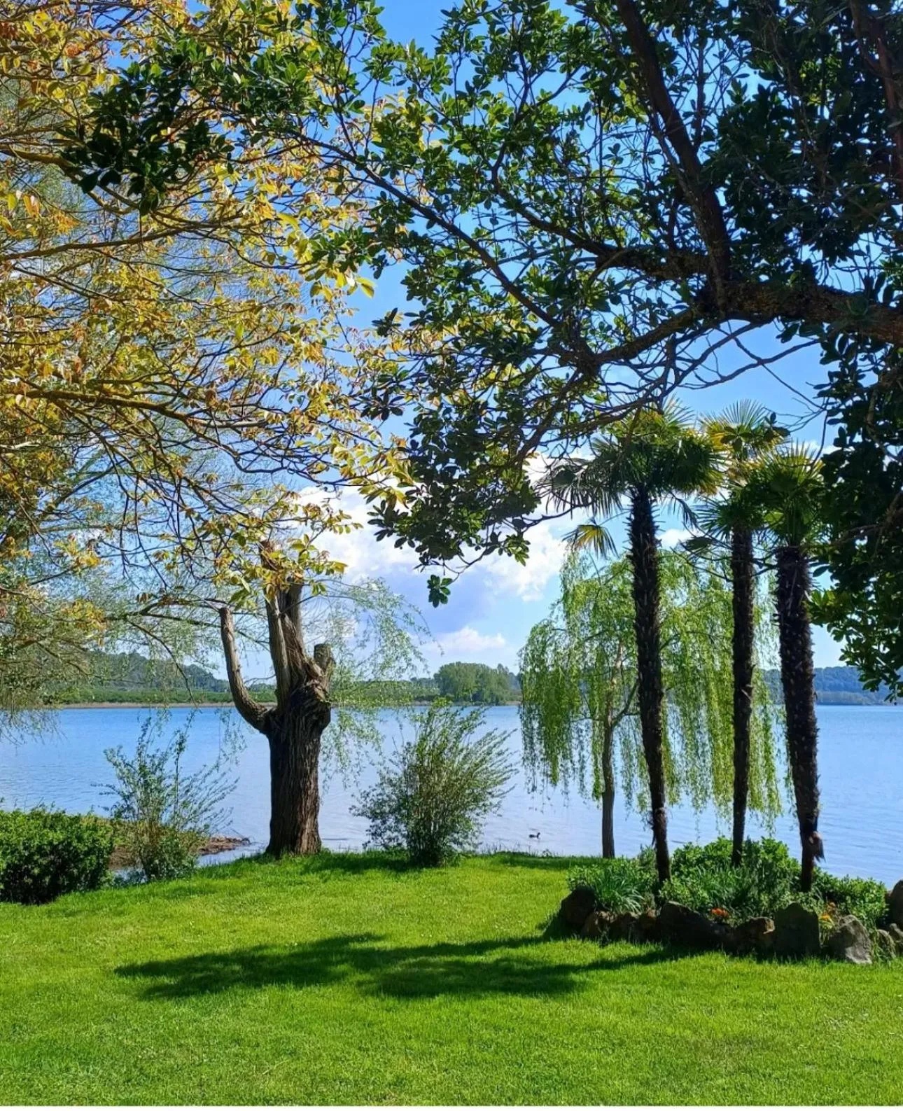 Hotel La Bella Venere