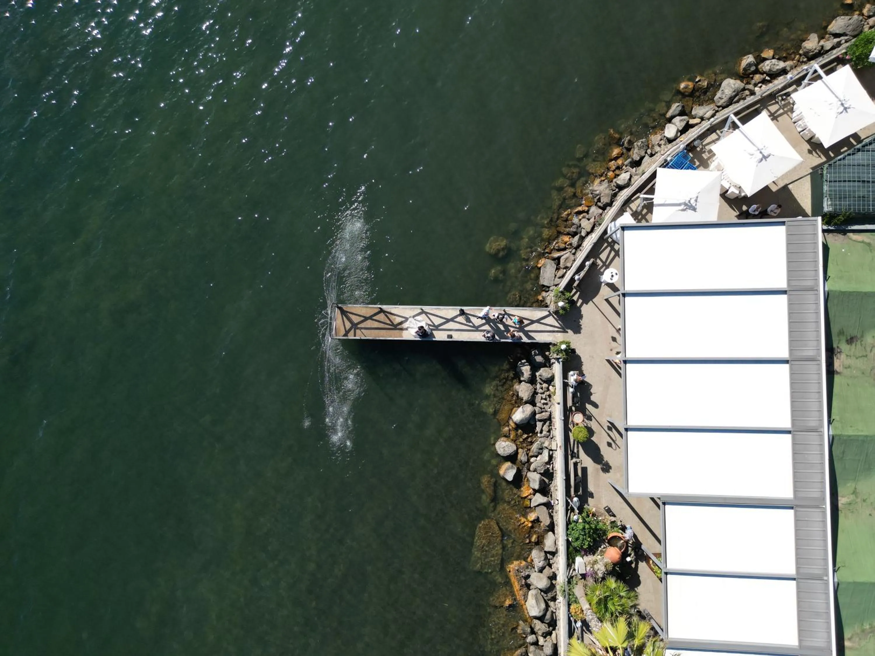 Hotel La Bella Venere