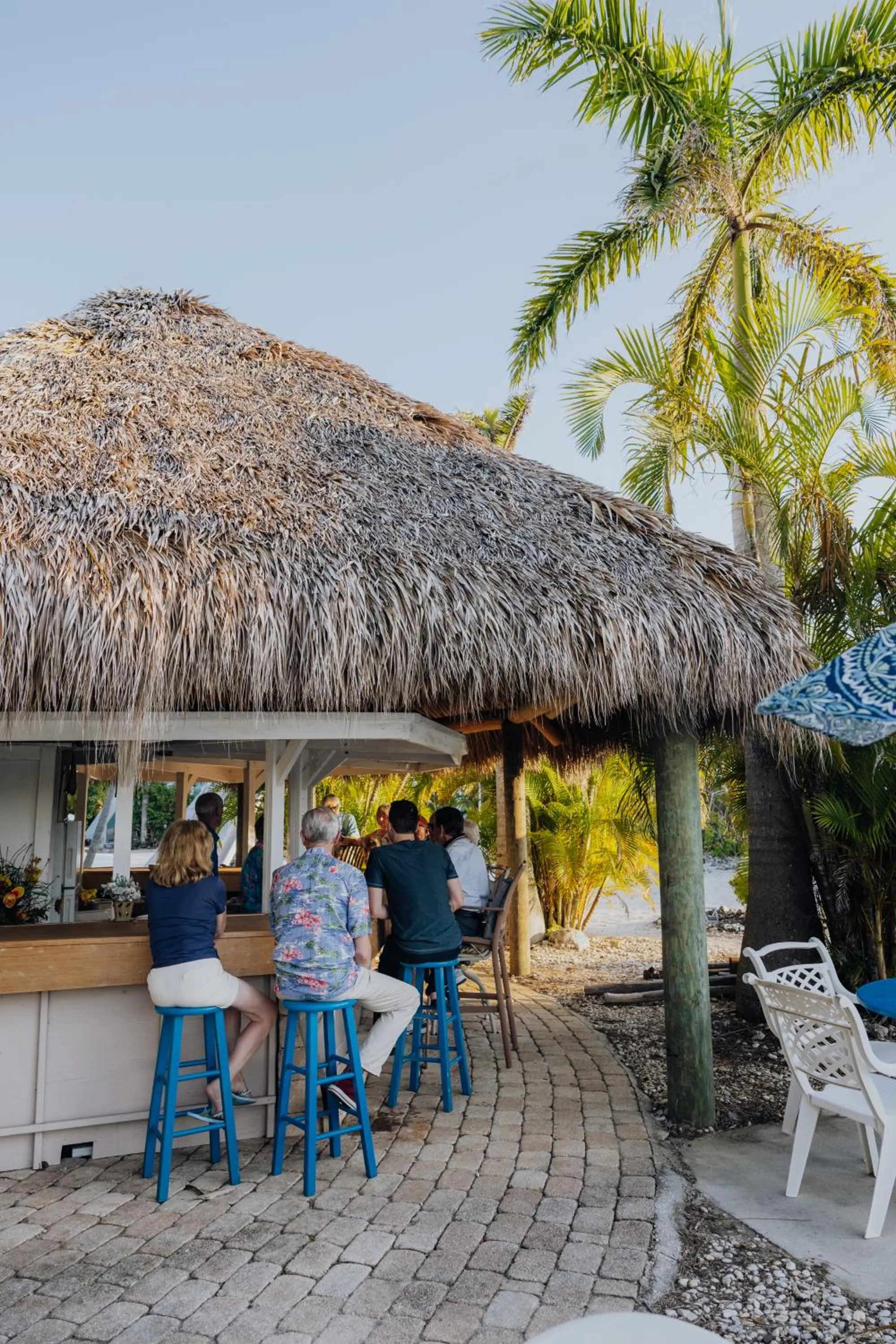 Area and facilities in Pyramids in Florida