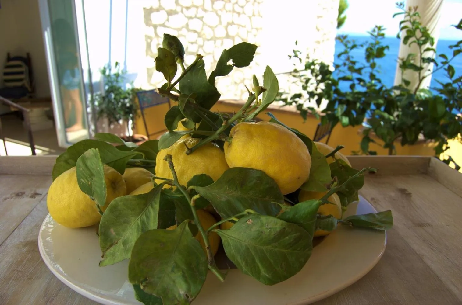 La Terrazza sul Mare