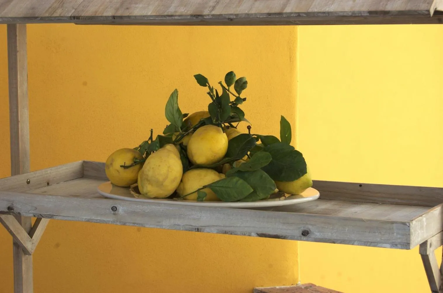 La Terrazza sul Mare