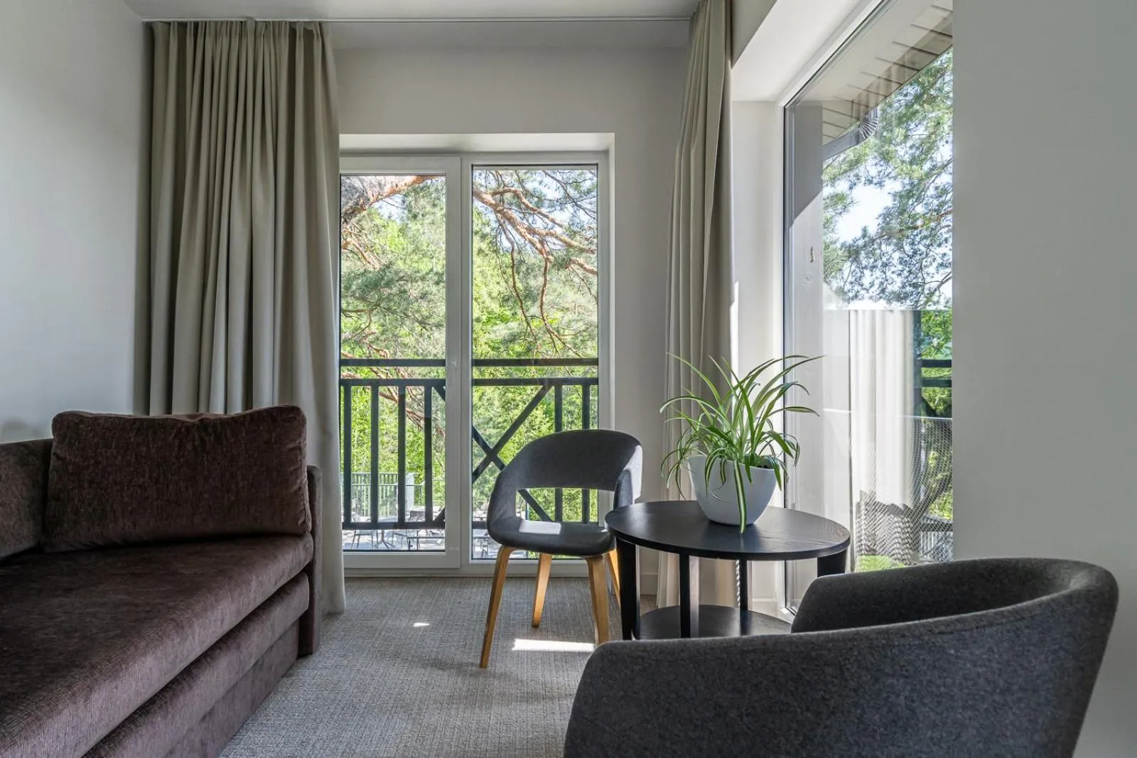 "Seklytele" apartments