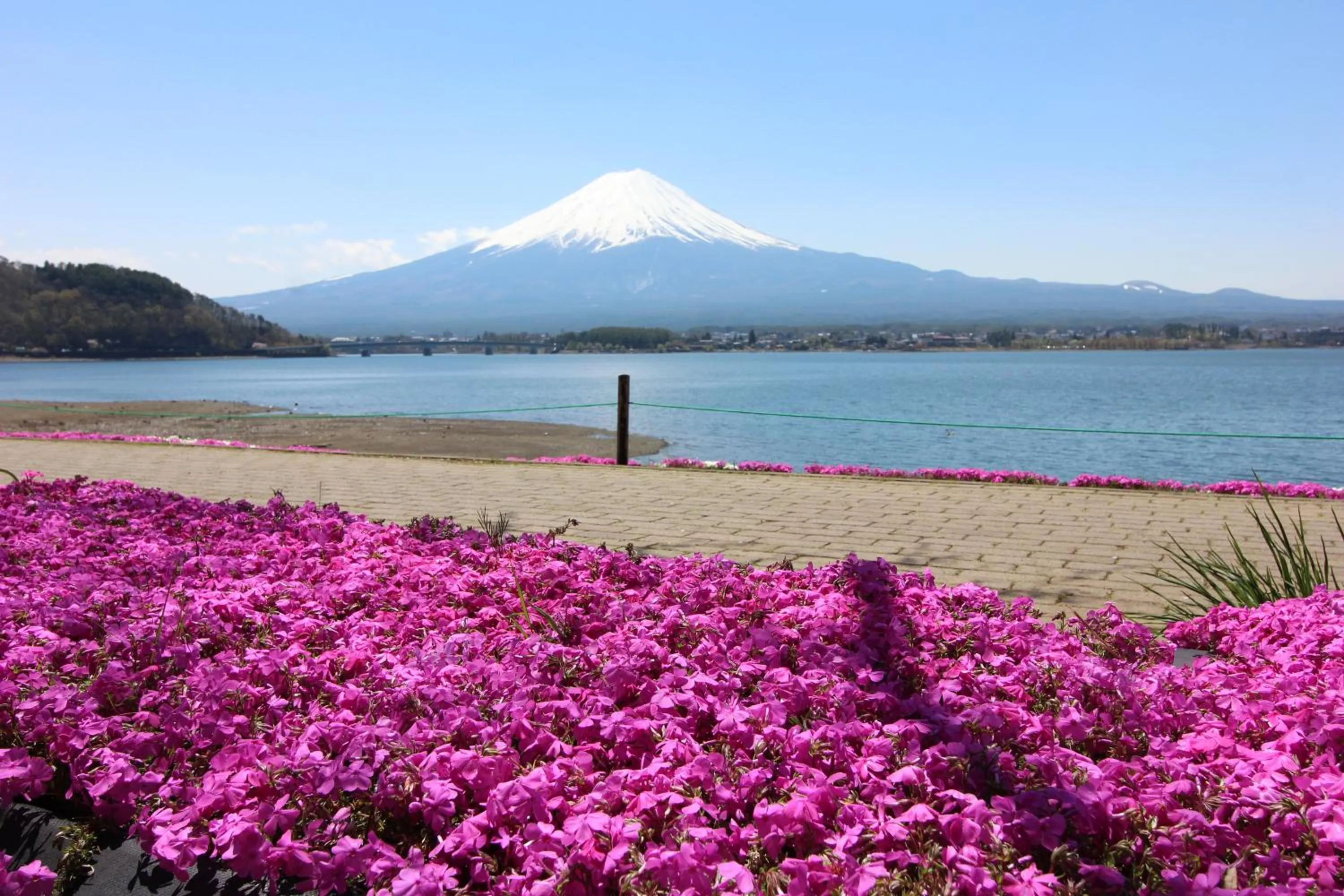 Area and facilities in Ururun Kawaguchiko