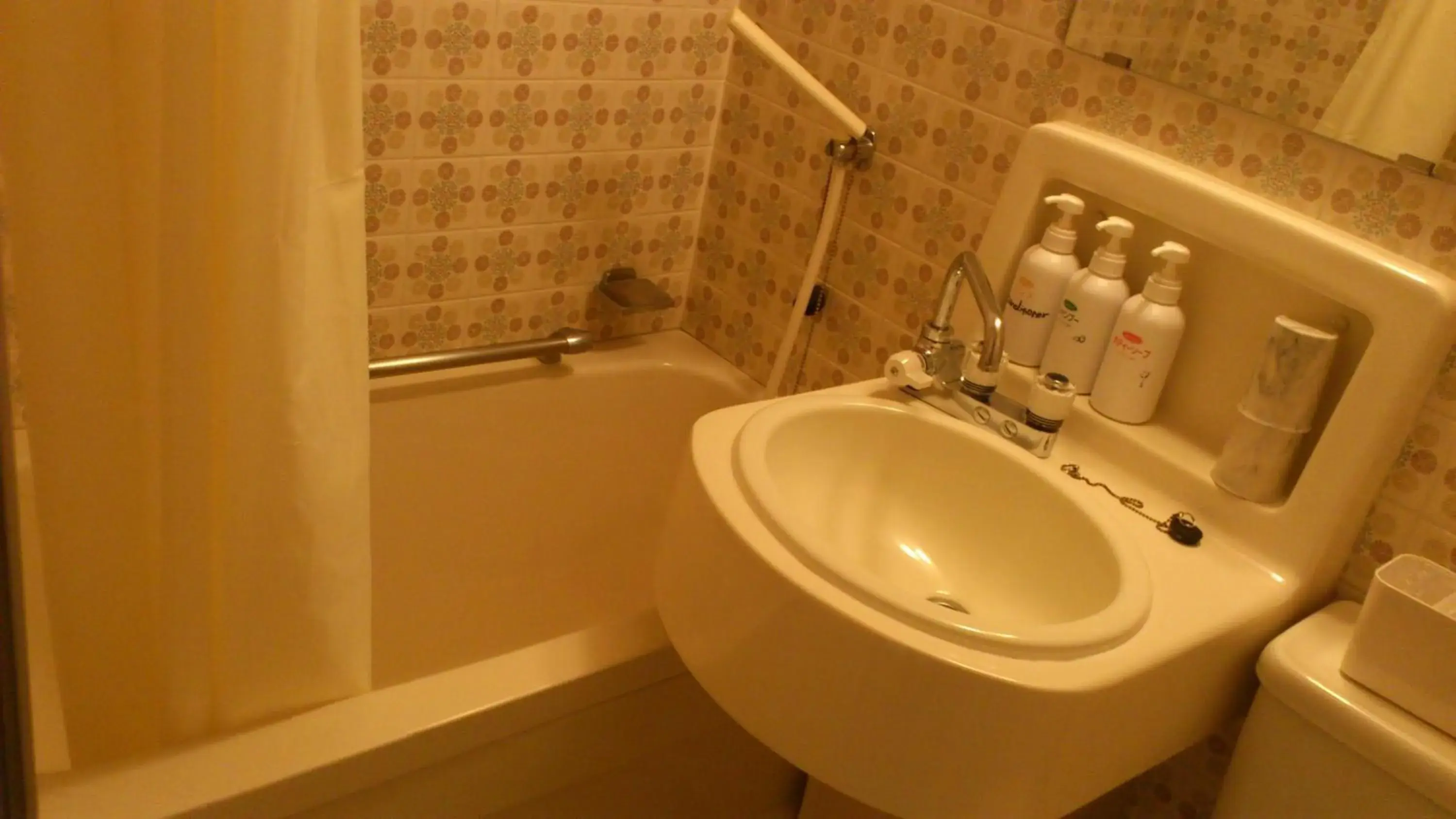 Twin Room in Yamaichi Bekkan Twin Room in Yamaichi Bekkan