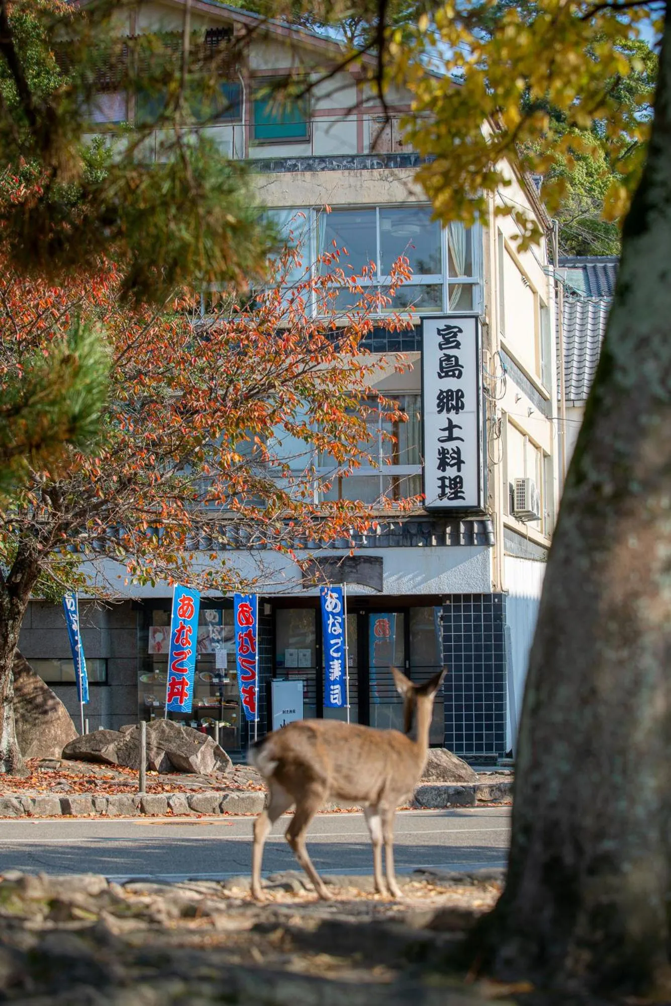 Property building in Yamaichi Bekkan
