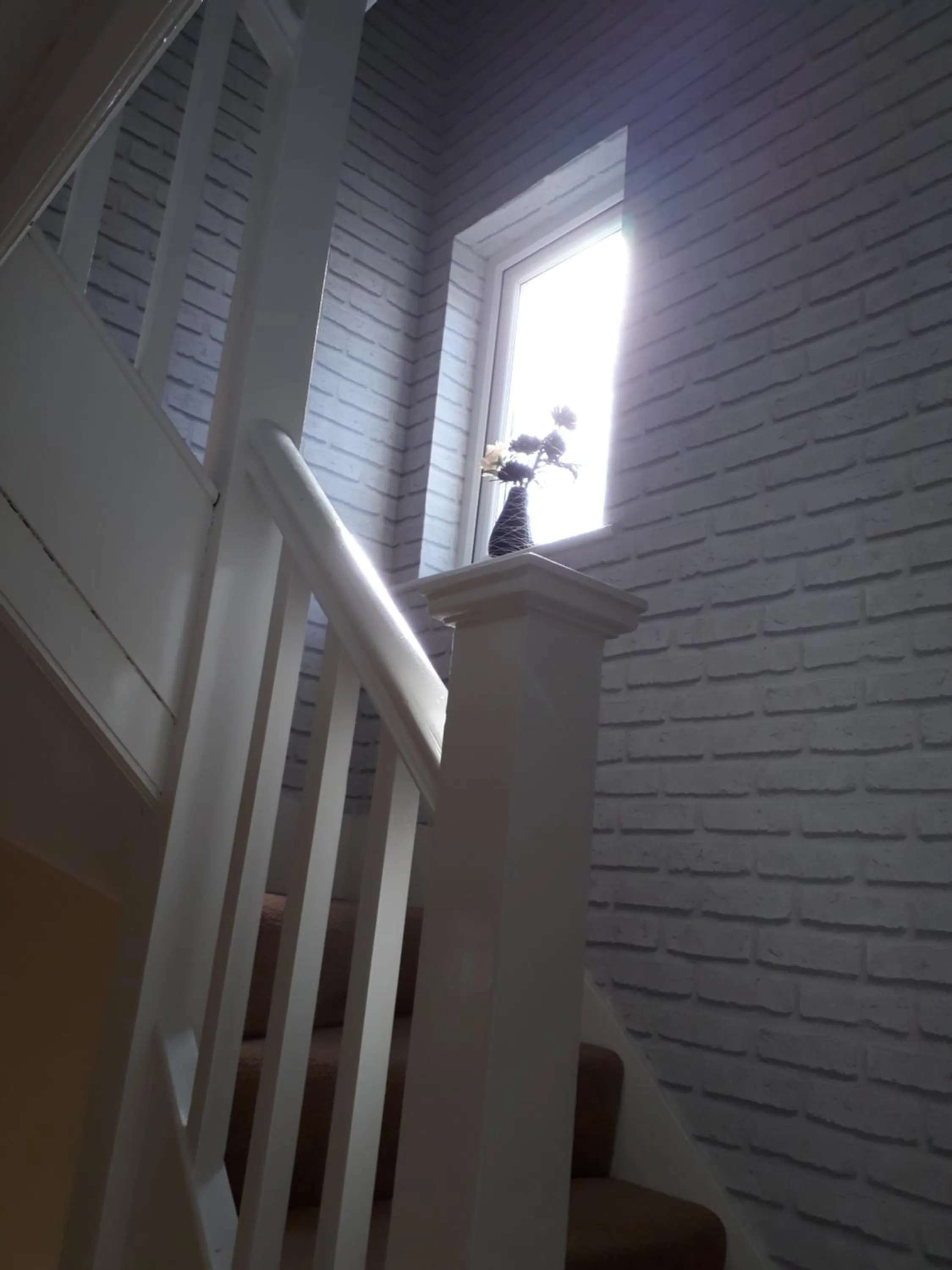 Area and facilities in Shenandoah House