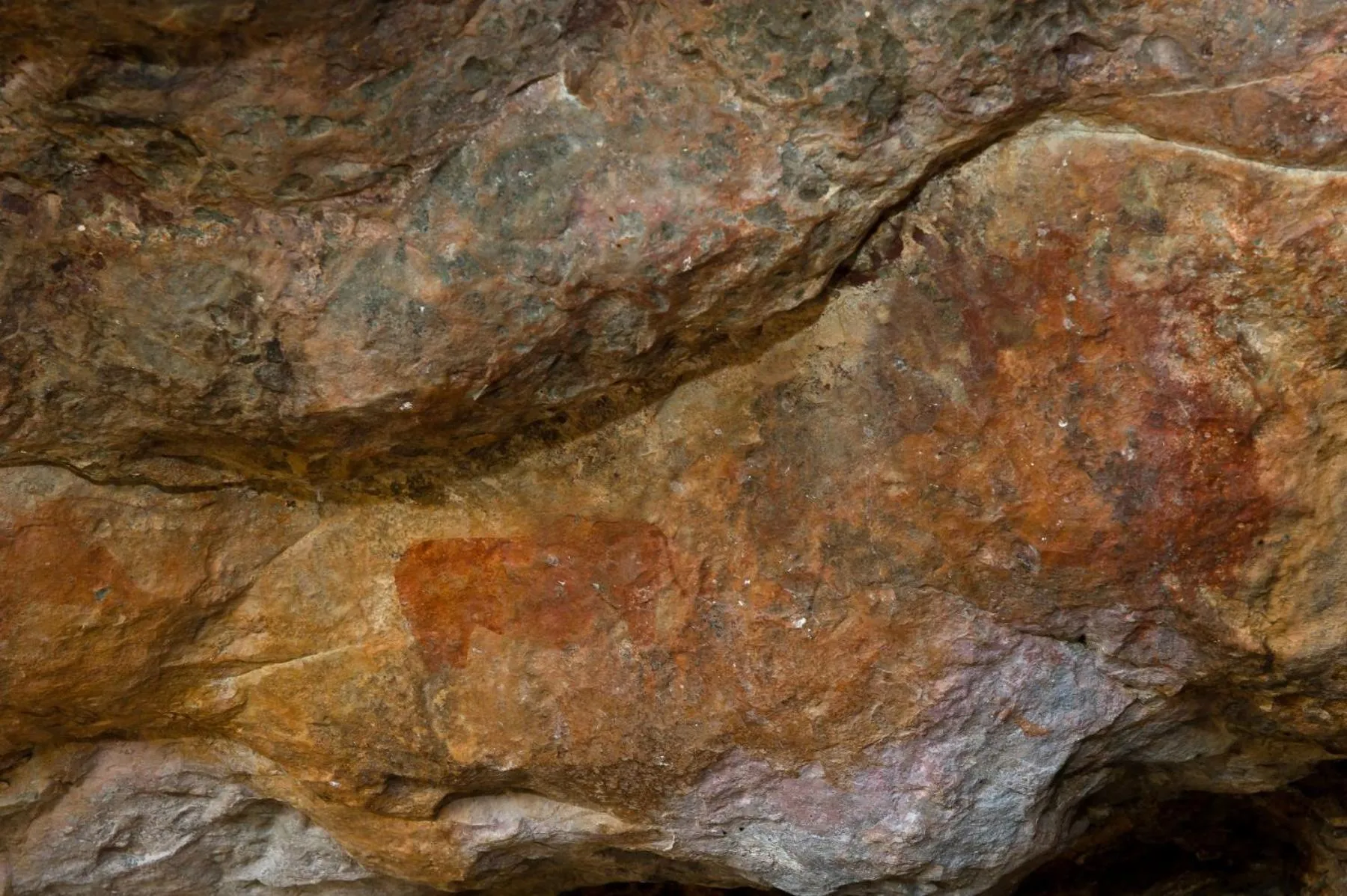 Natural landscape in African Game Lodge