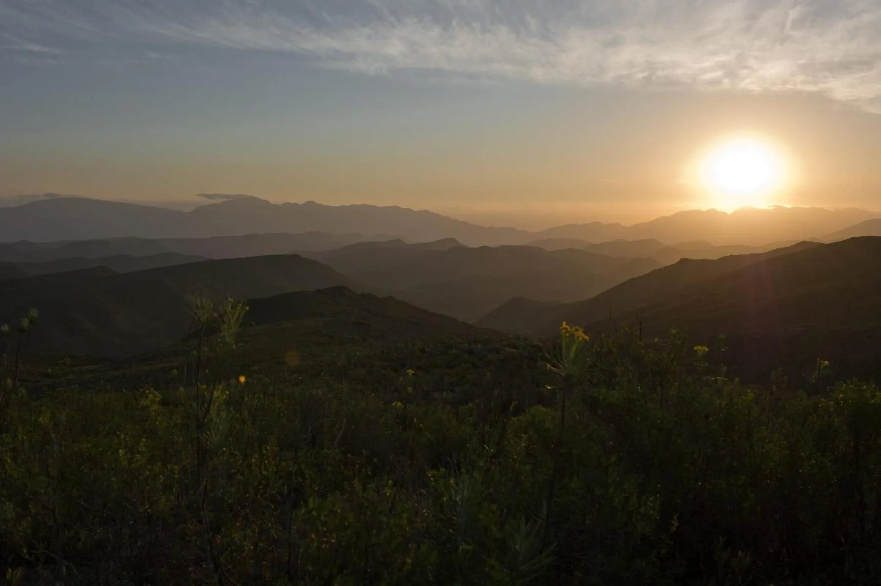 Natural landscape in African Game Lodge