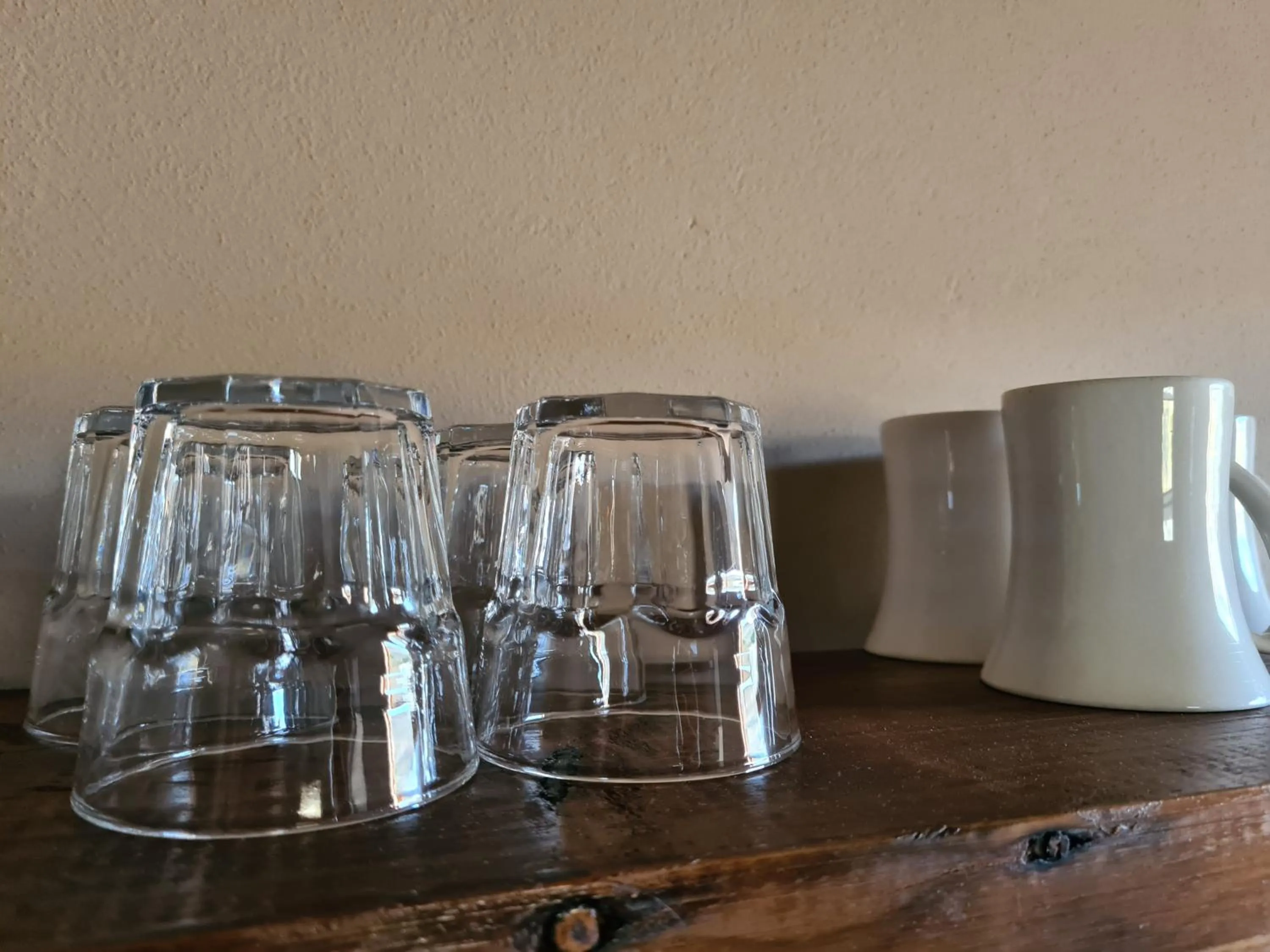 kitchen in African Game Lodge