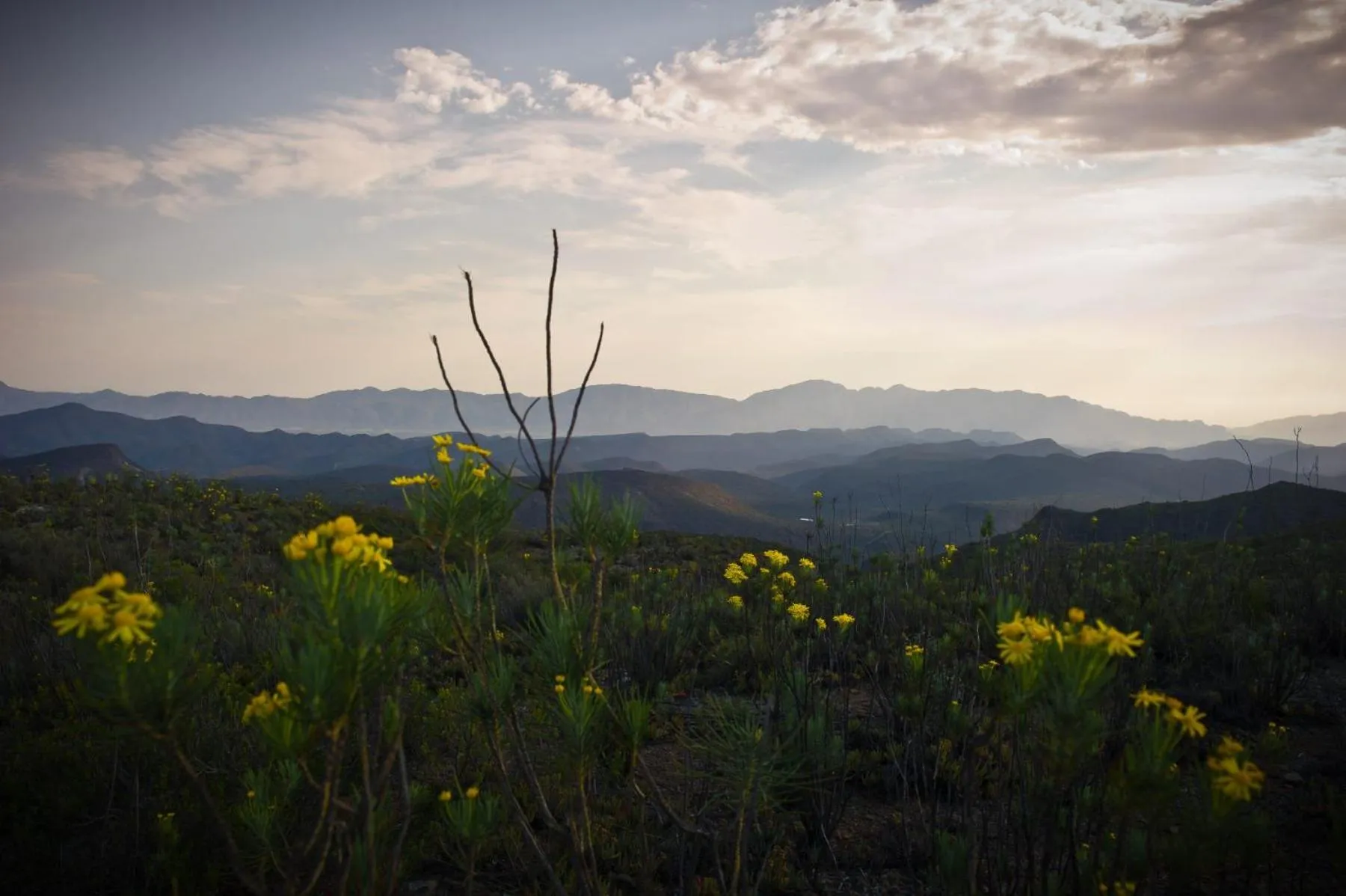 Natural landscape in African Game Lodge