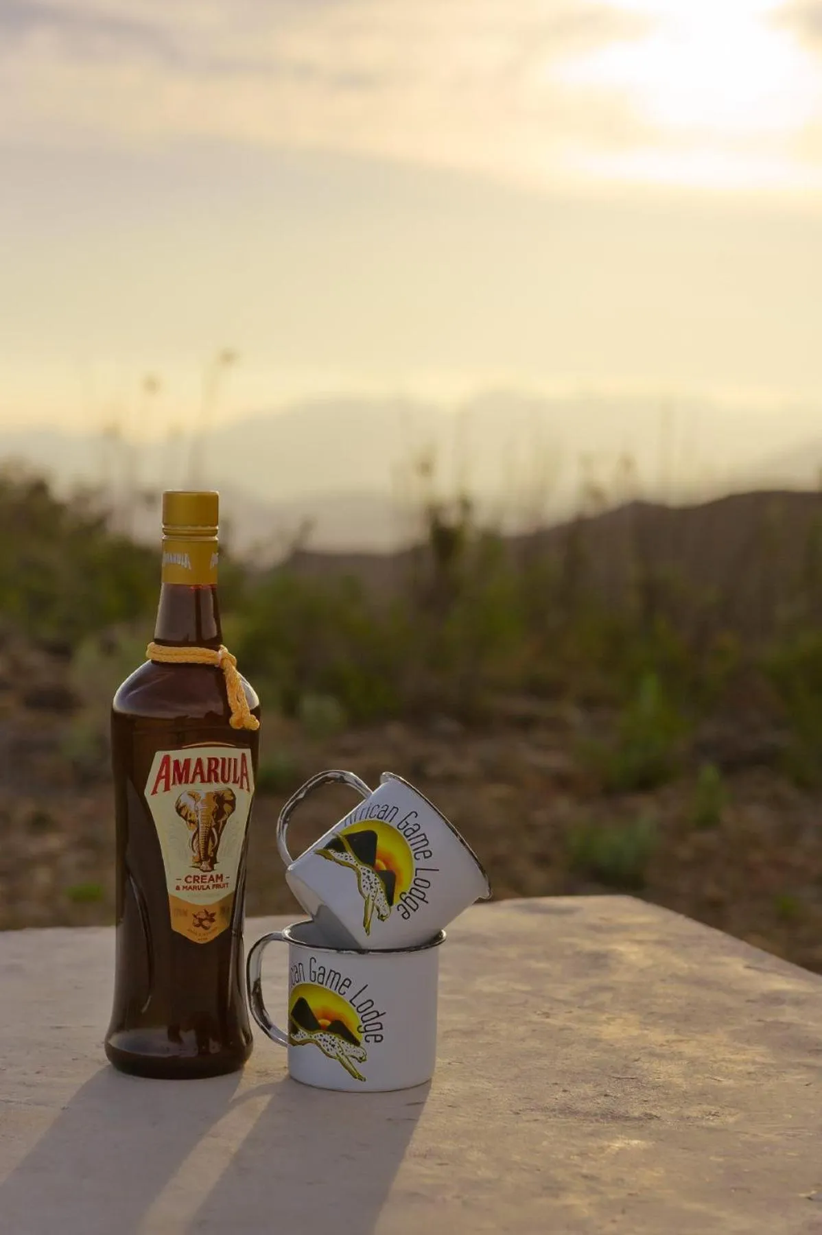 View (from property/room) in African Game Lodge