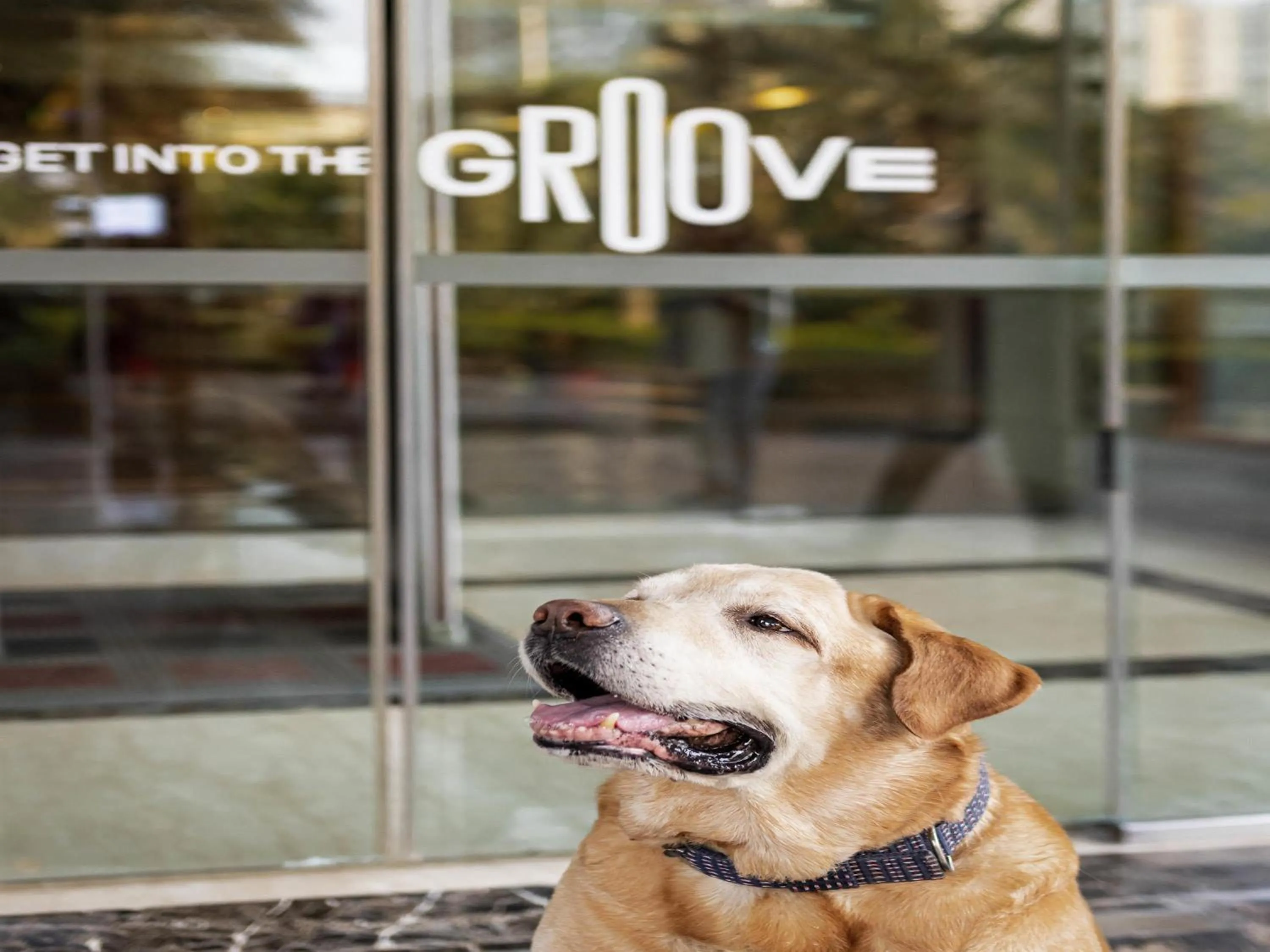 Other in ibis Bengaluru Hosur Road - An Accor Brand