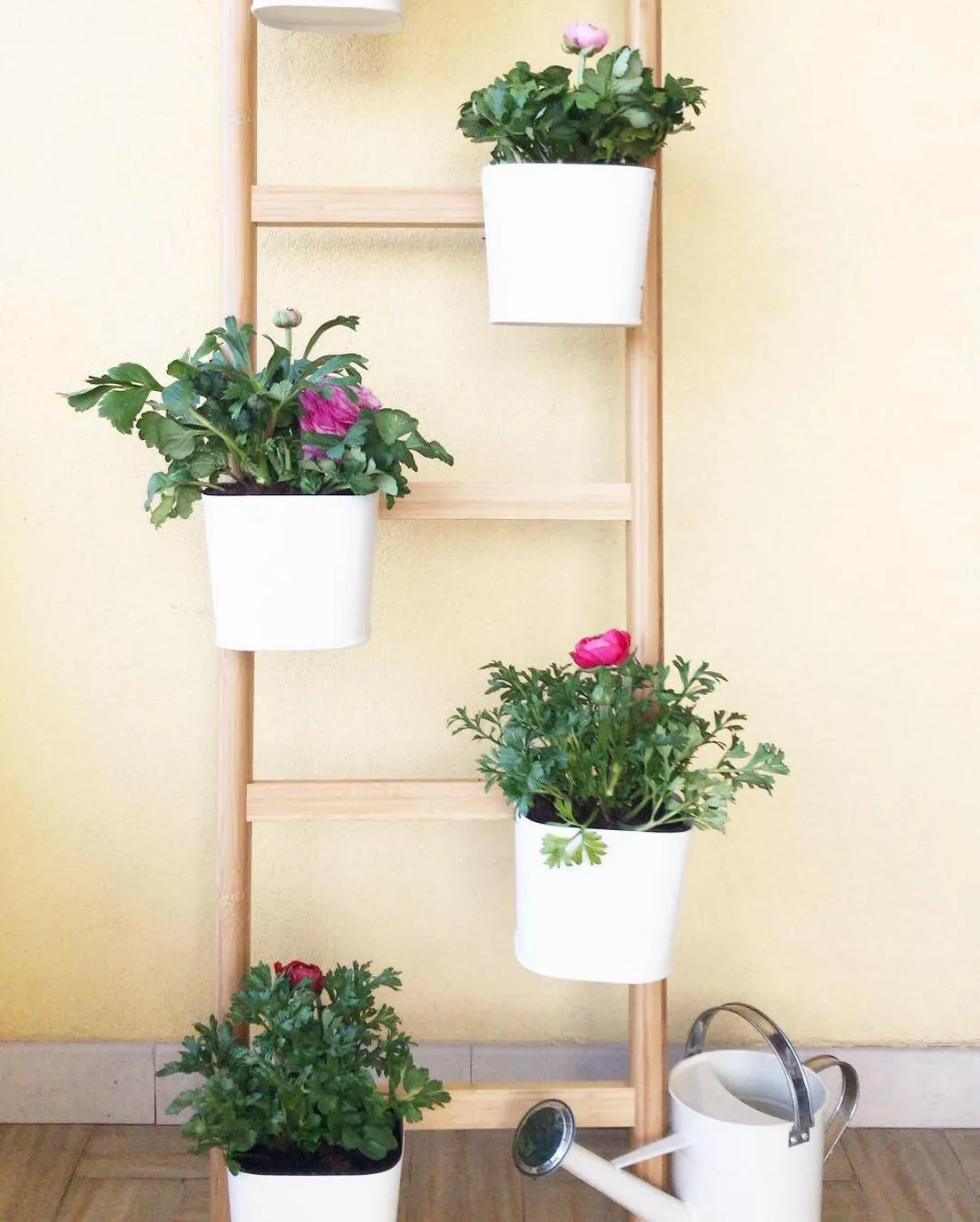 Spring in aMarti Suites B&B