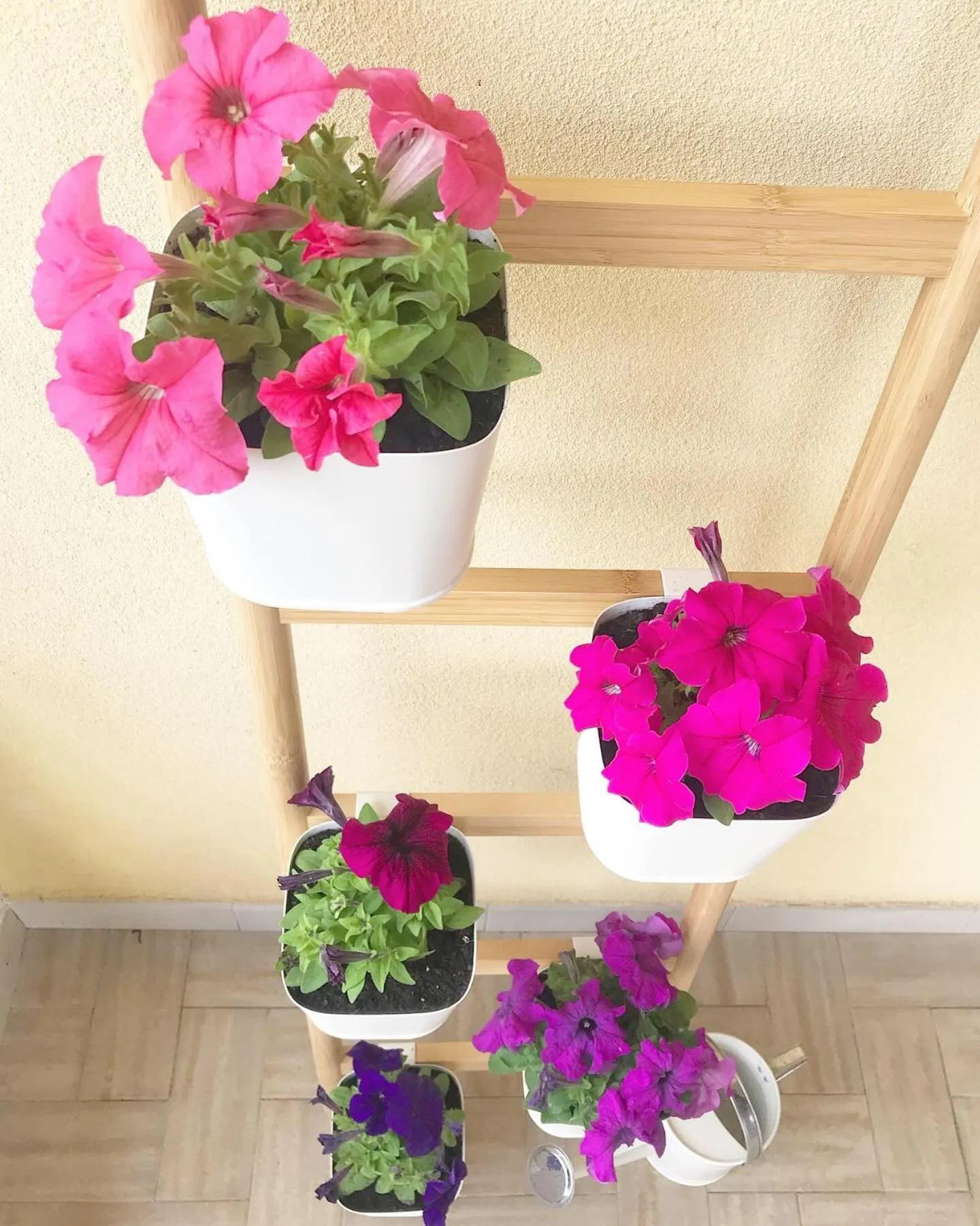 Property building in aMarti Suites B&B