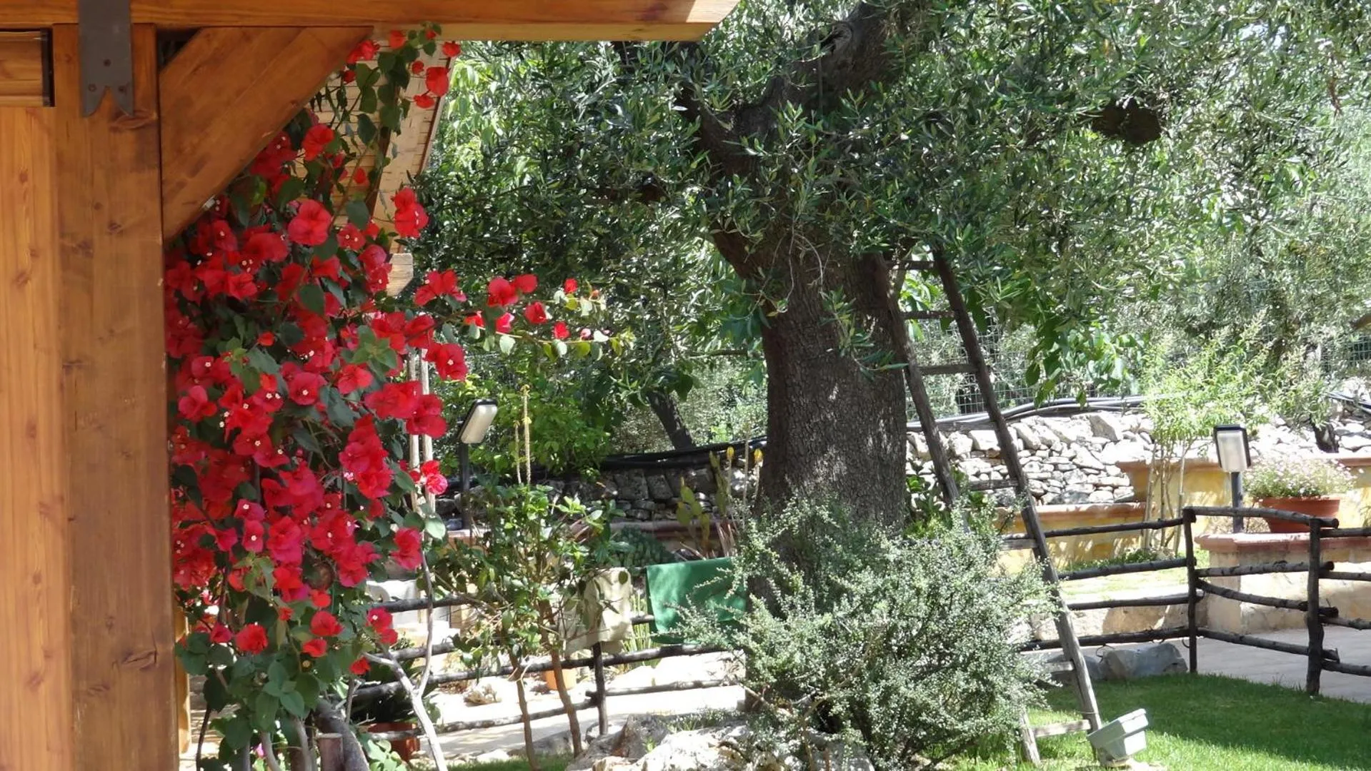 Day in Bed and Breakfast La Casetta