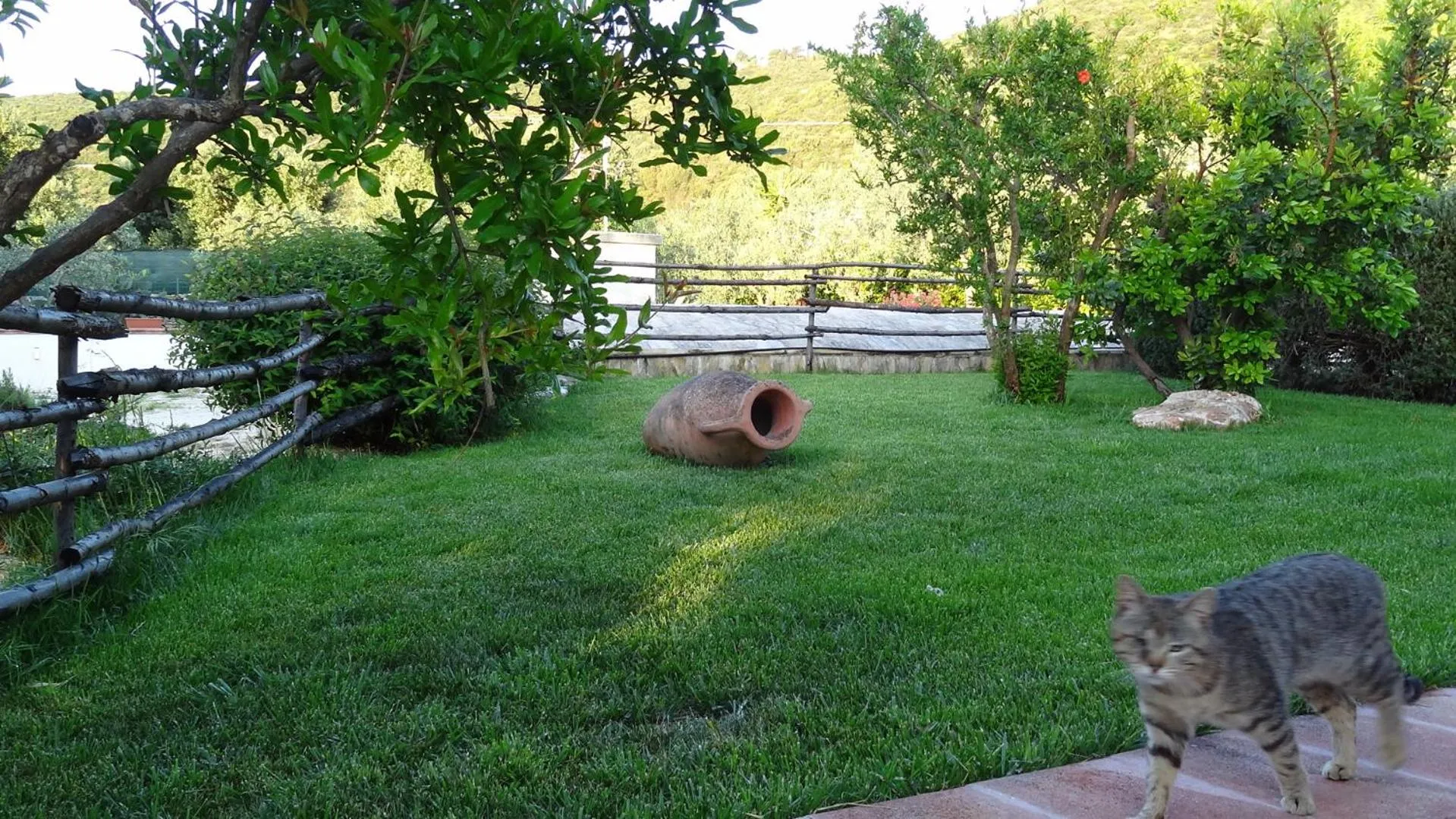 Day in Bed and Breakfast La Casetta