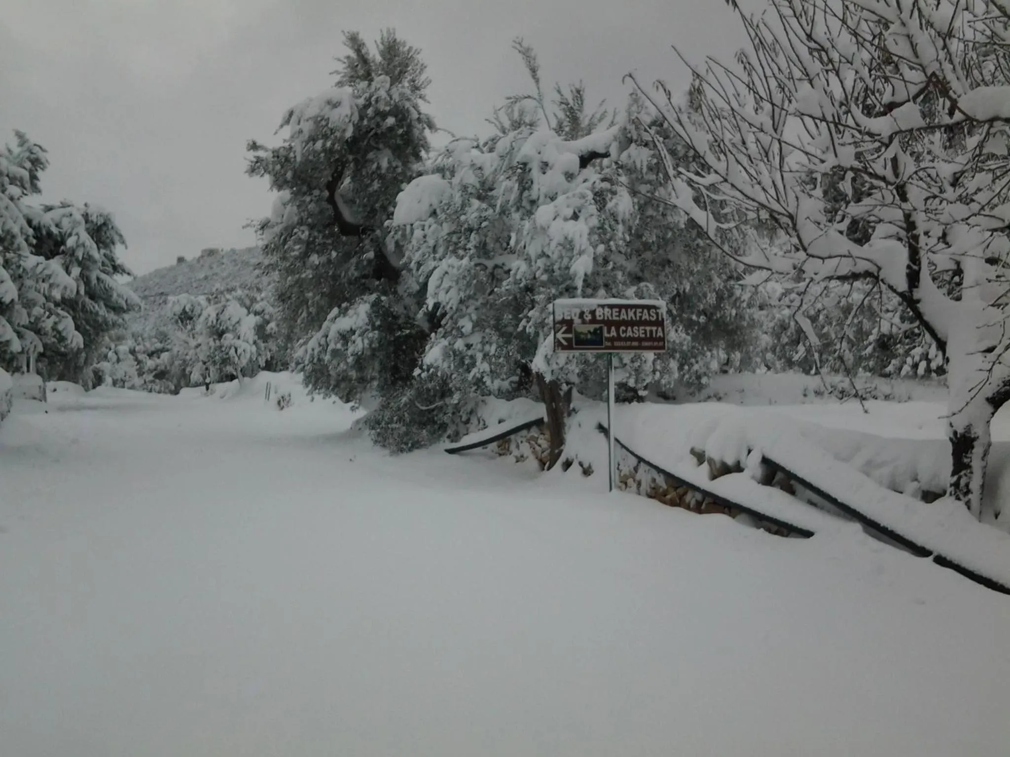 Property logo or sign in Bed and Breakfast La Casetta